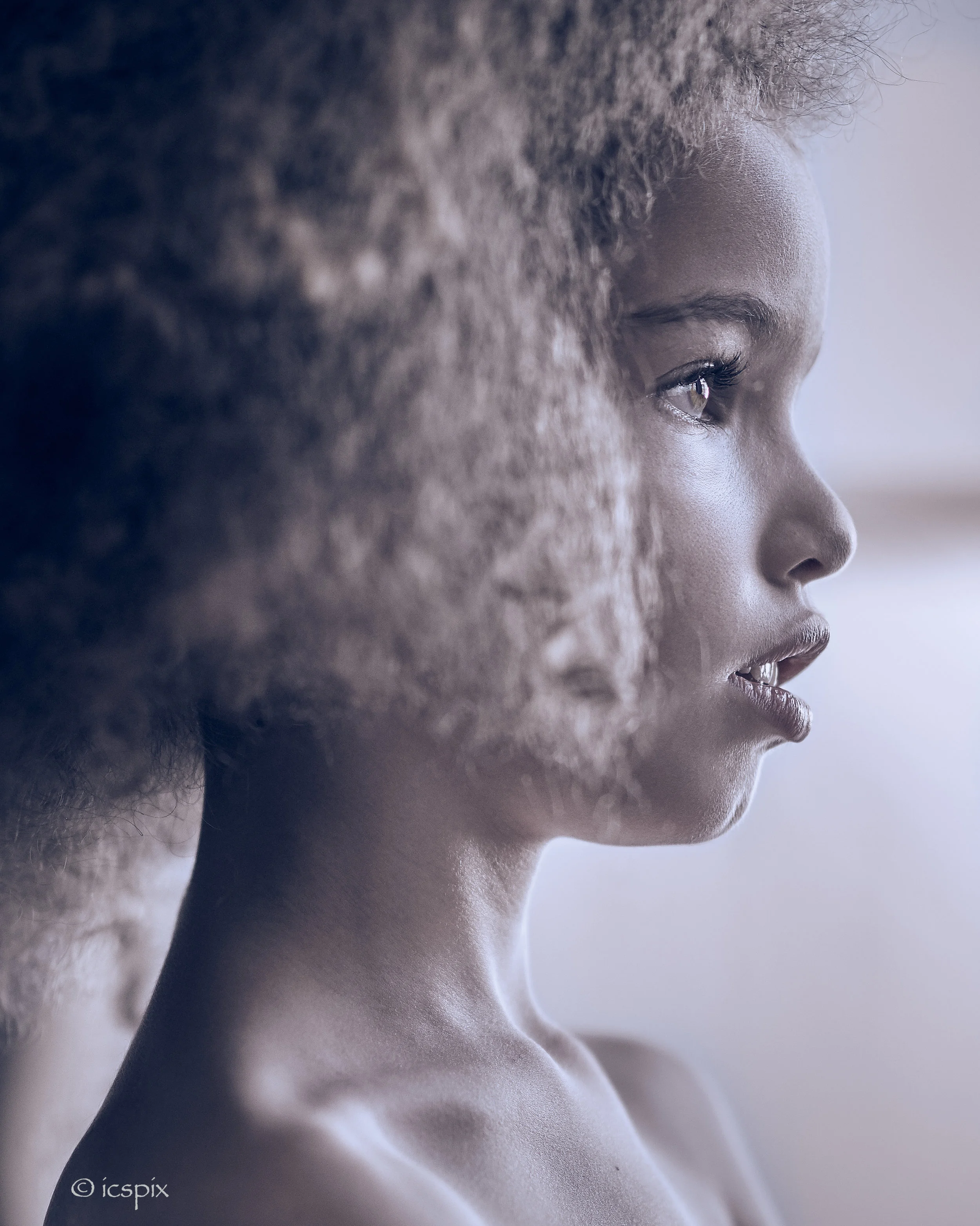 Miss Frizzy, portfolio portrait / headshot