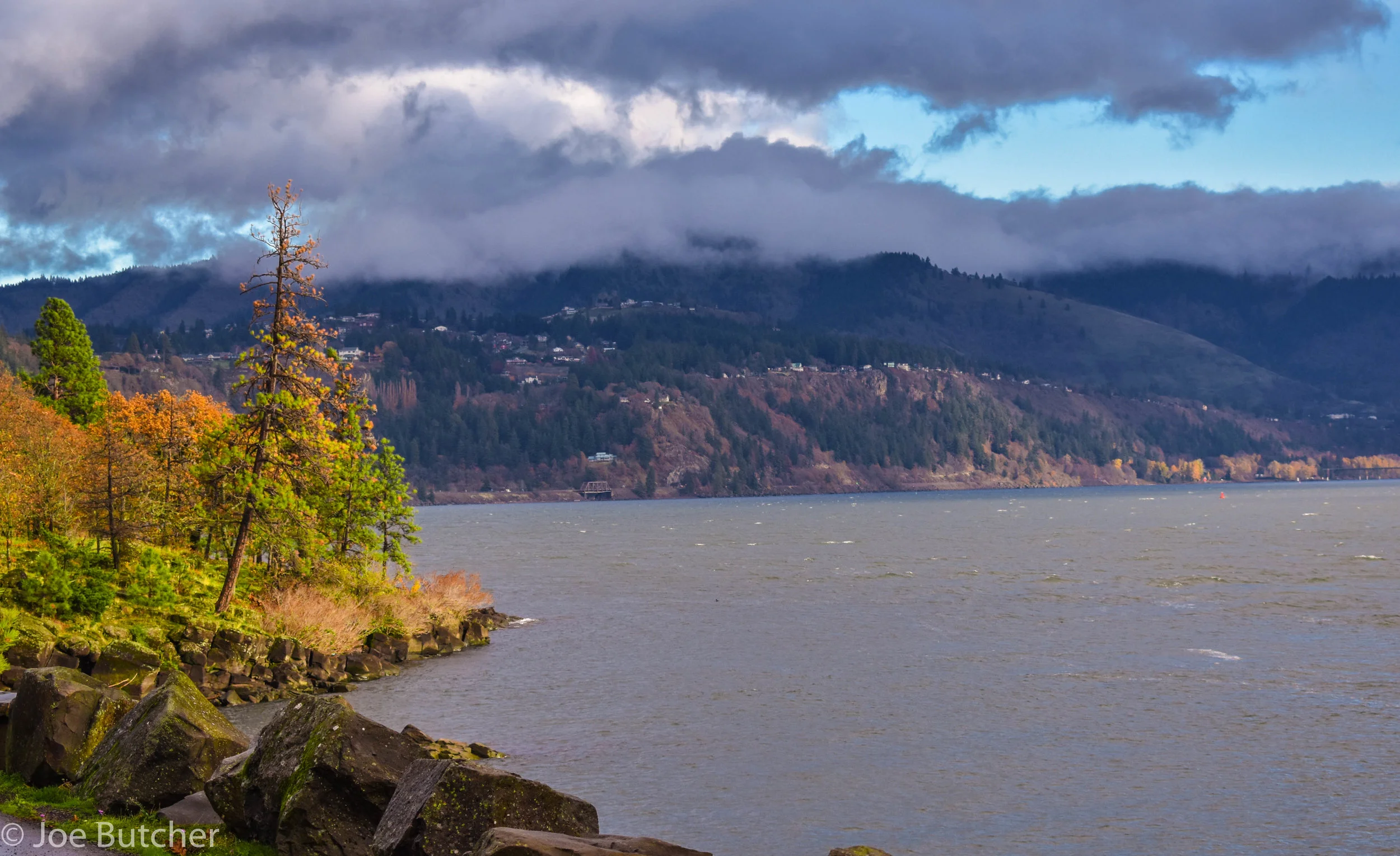 DSC_0398.jpg