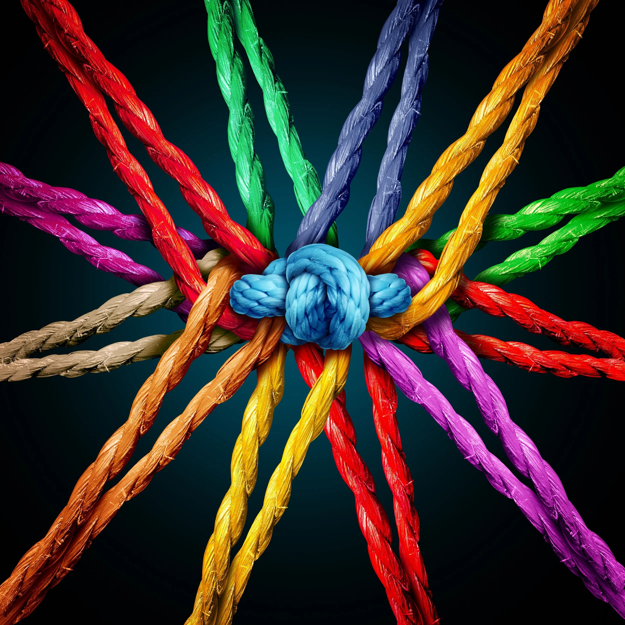 community ropes.jpg