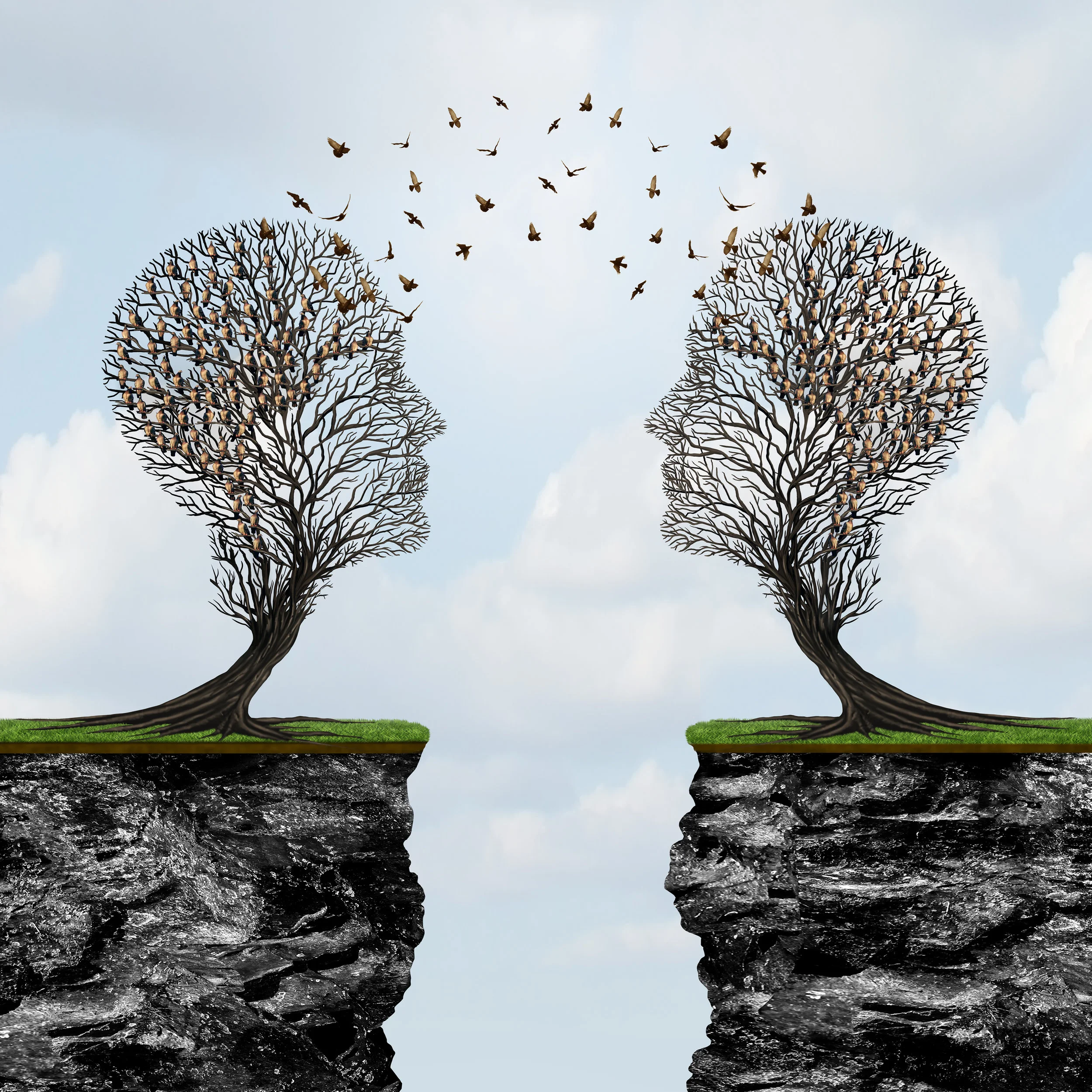 Tree heads sharing thoughts across gap.jpg