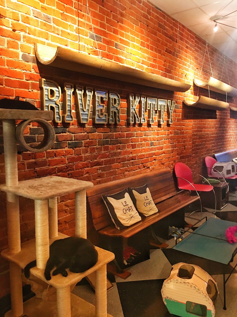 River Kitty Cat Cafe The Champagne Way