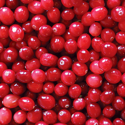 cranberries.jpg