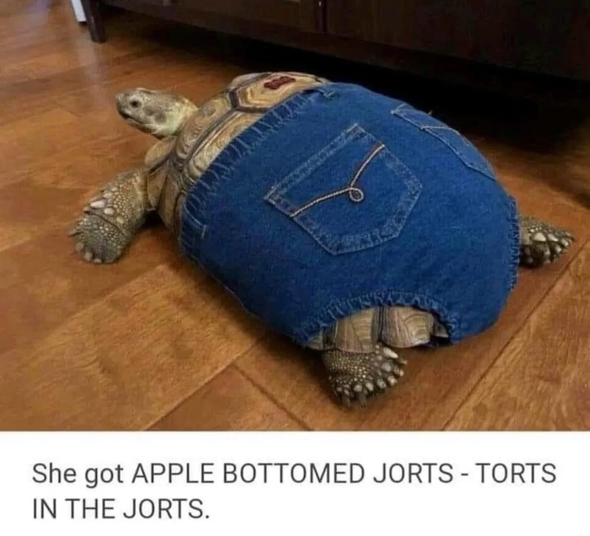 I LOOK FLY IN MY JORTS I GET HIGH IN MY JORTS SEE YOU TONIGHT IN YOUR SHORT JORT SHORTS

#thelibrarycafeandbar #cornbreadhemp #3sheepsbrewing #jorts