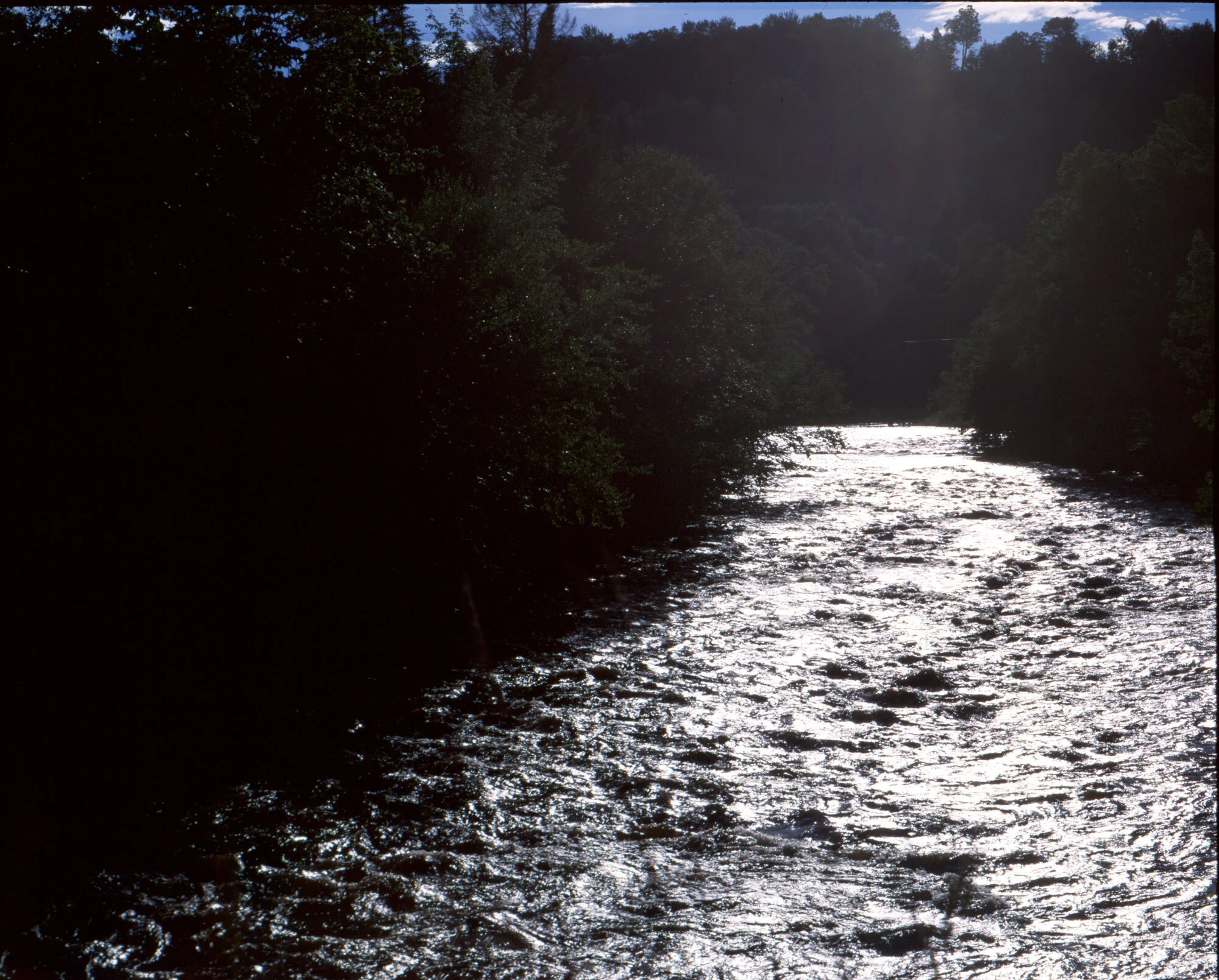 img002.jpg