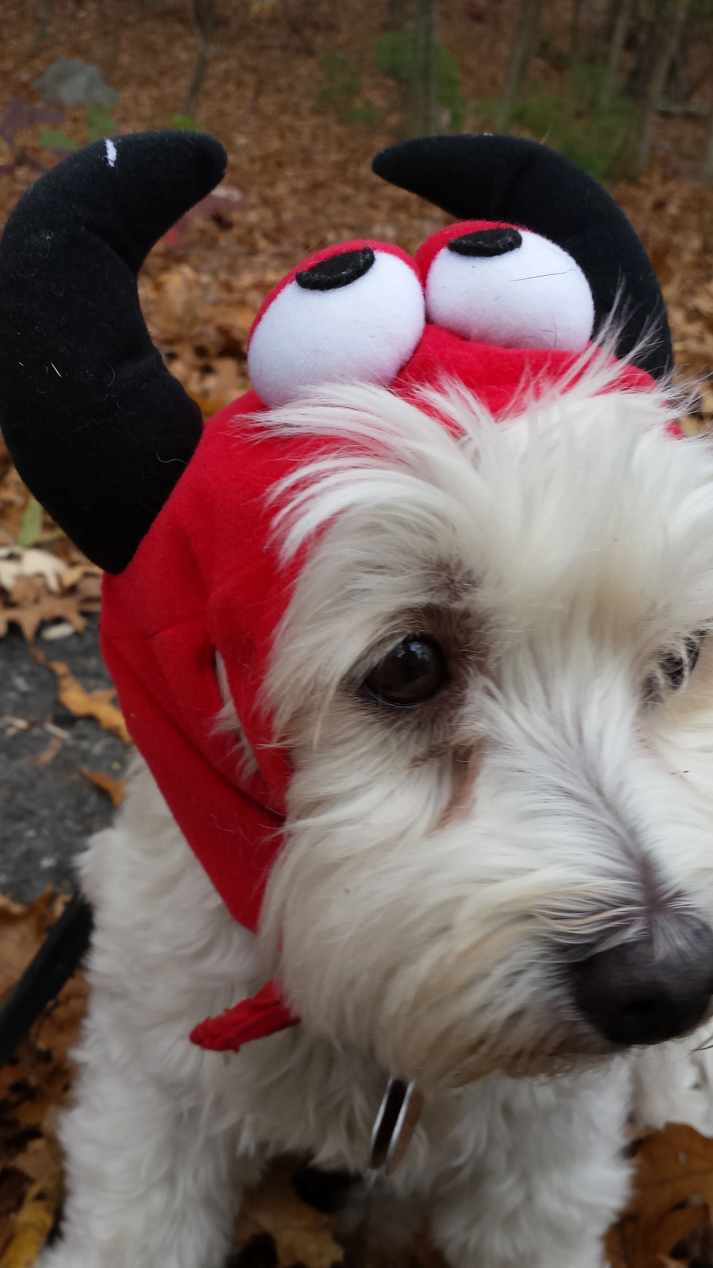 20141031_141851.jpg