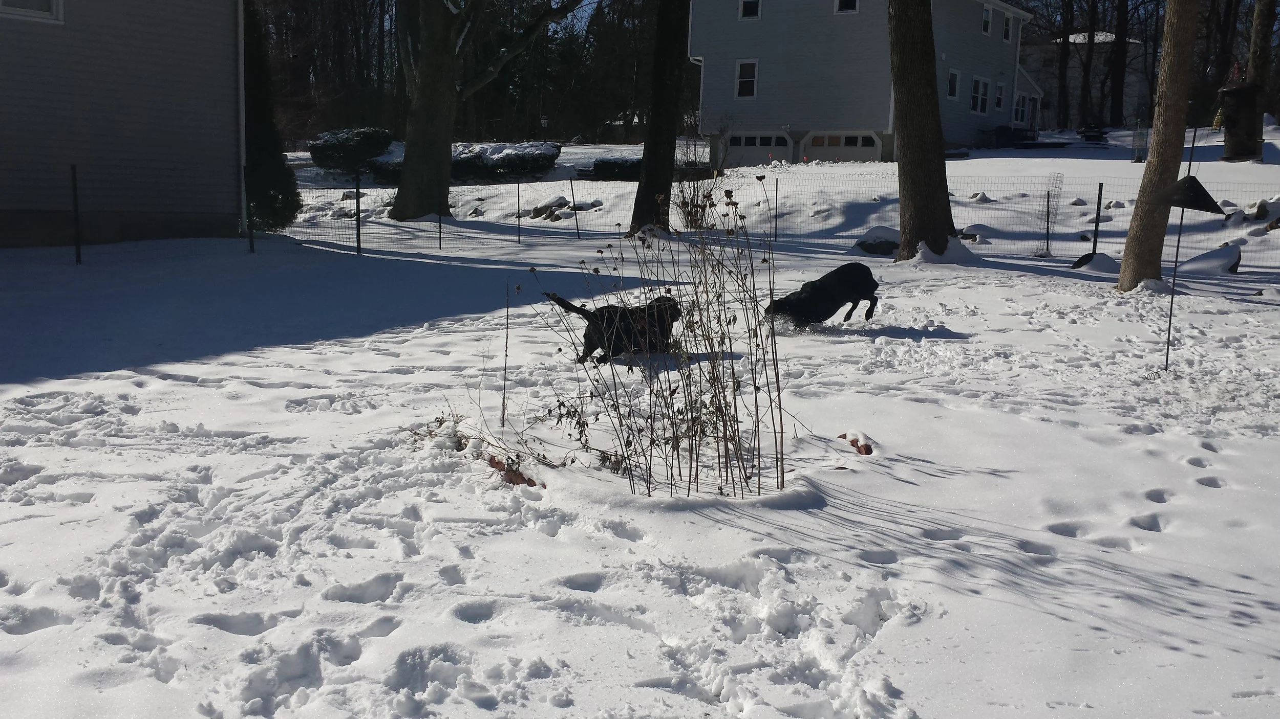 20160125_111457.jpg