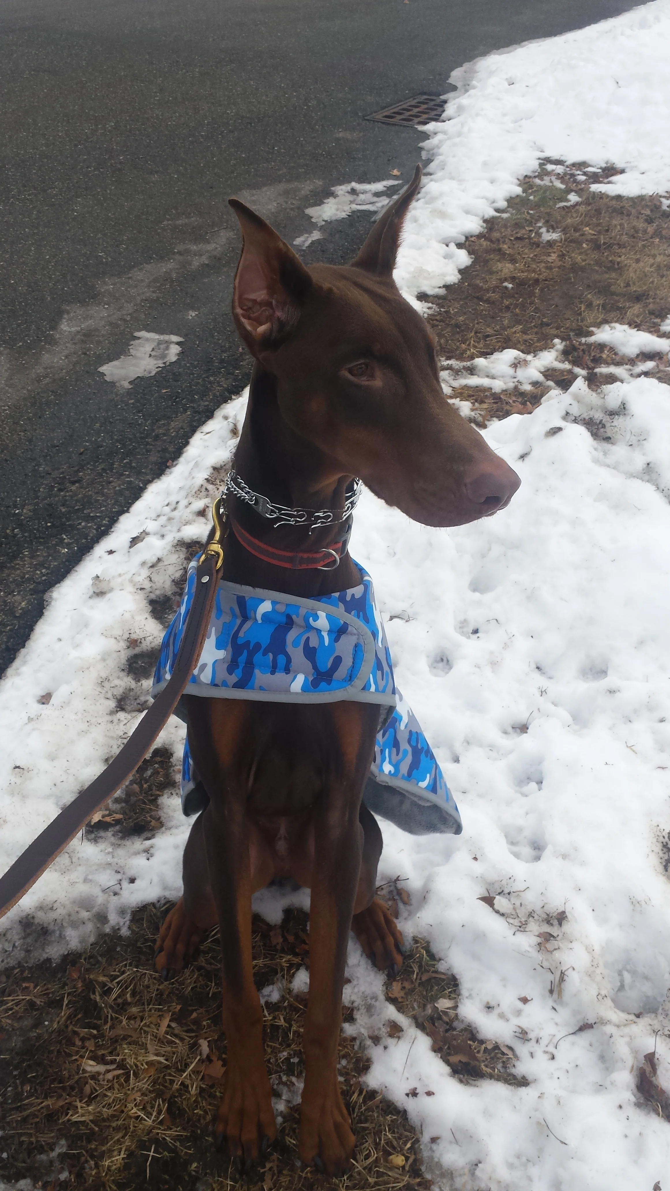20160126_102130.jpg