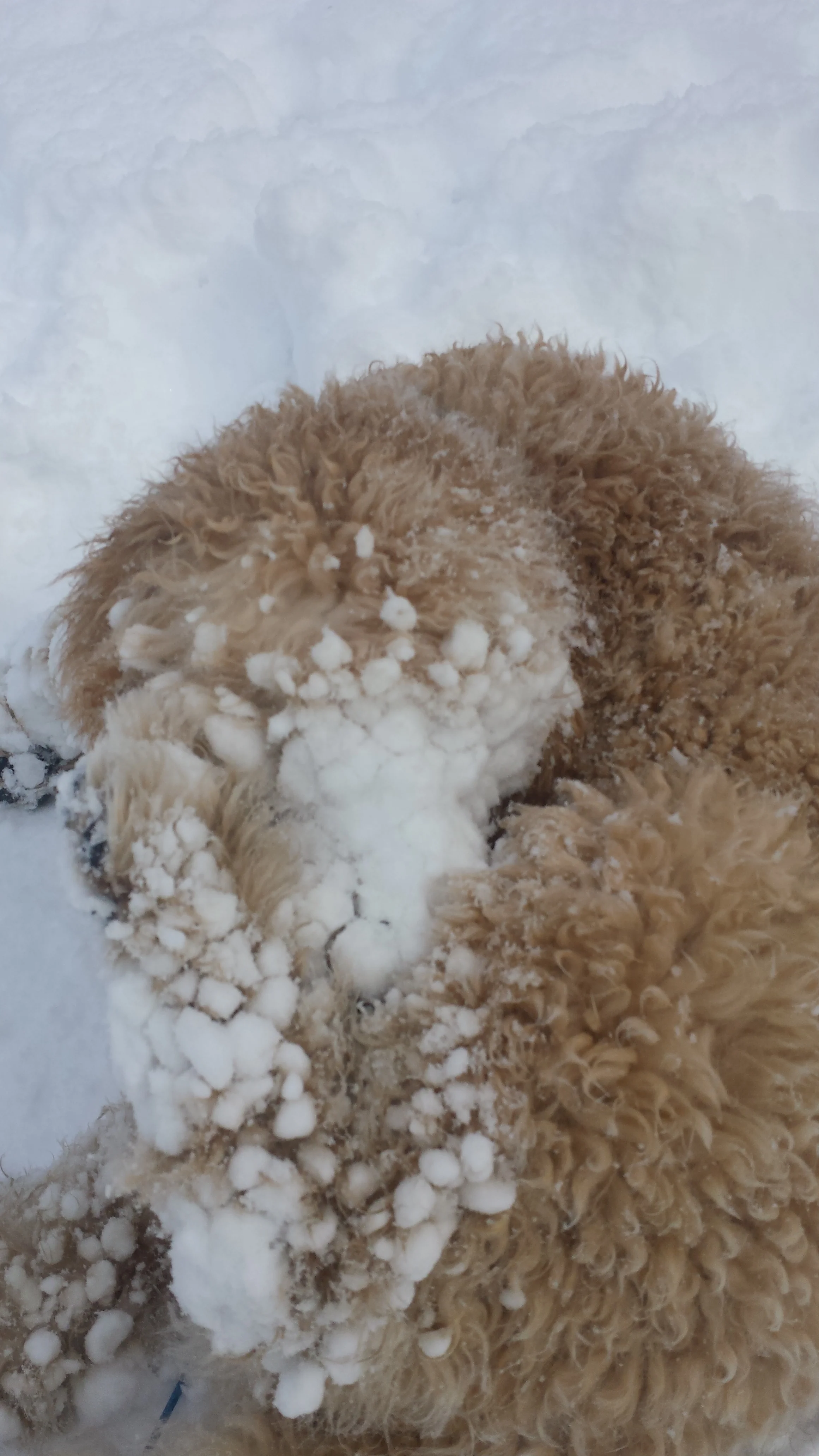 20160206_111221.jpg