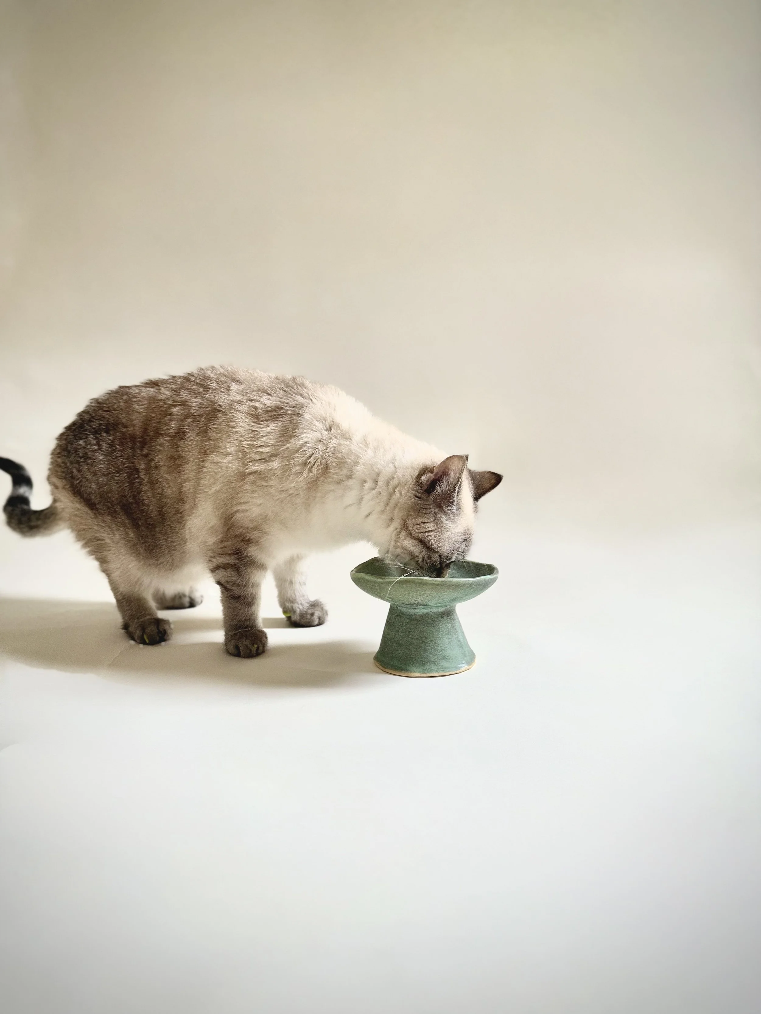 IMG_6725_1.jpeg