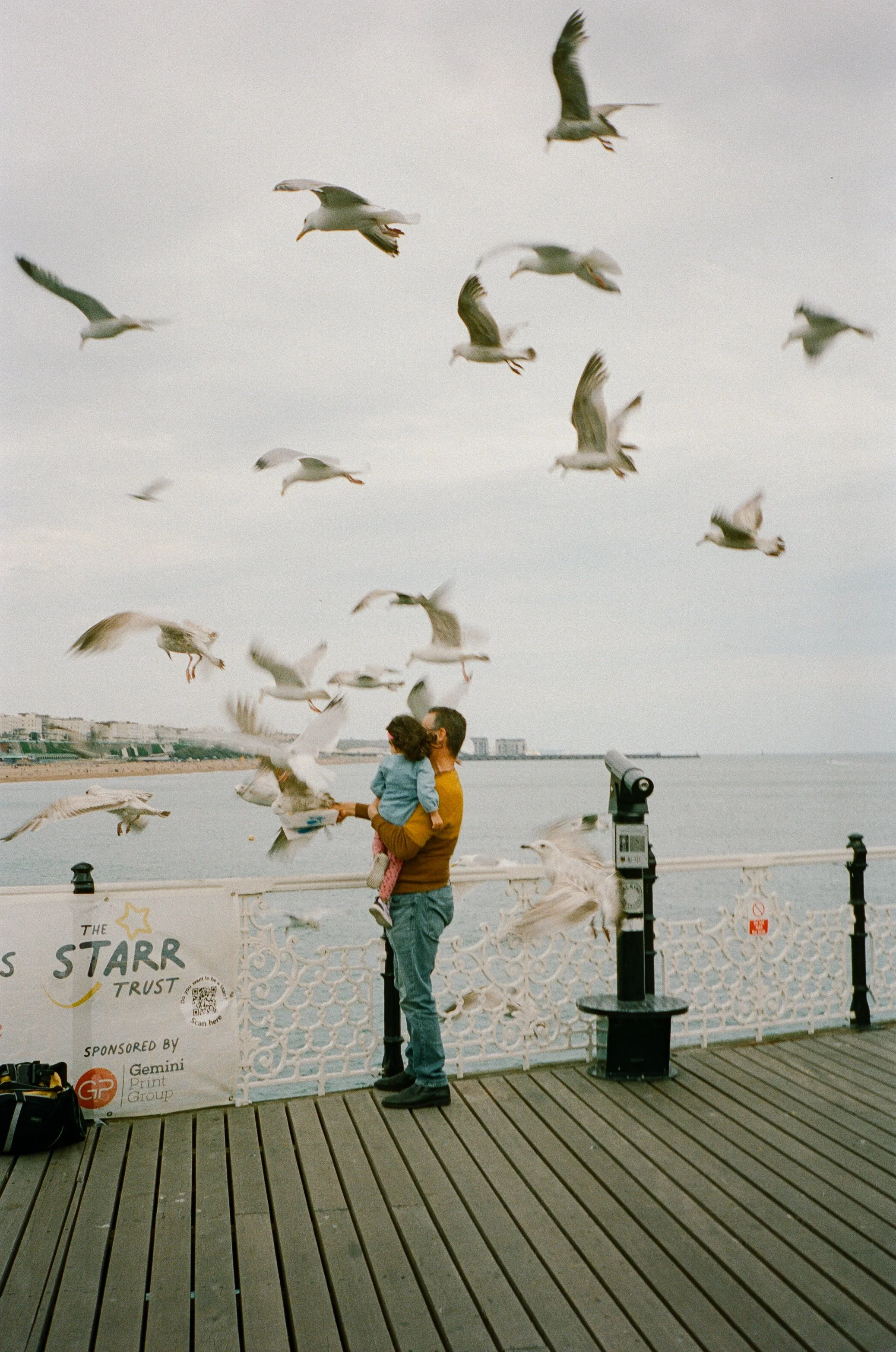 pierseagulls1_edit2.jpg