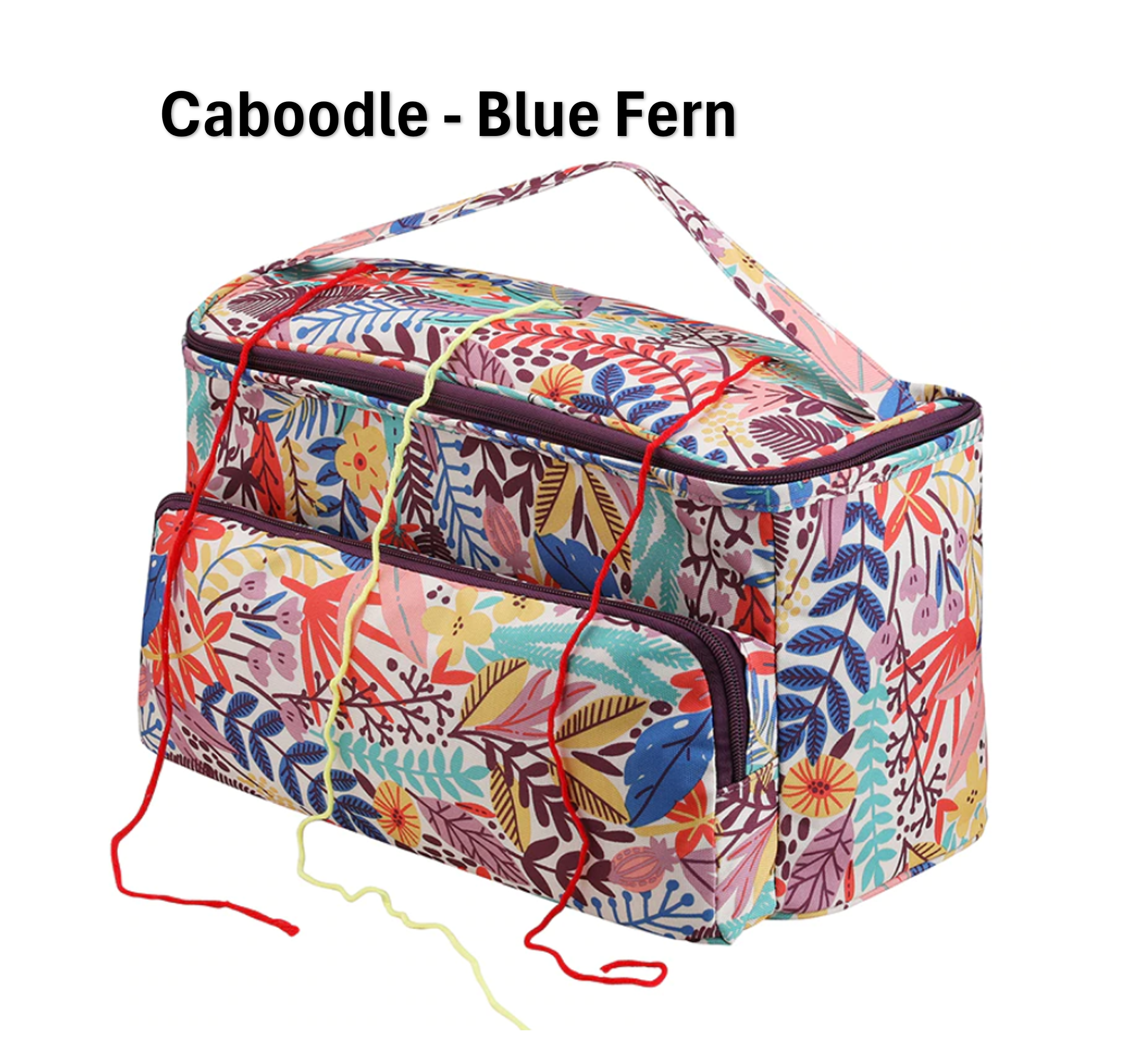 Caboodle - Blue Fern by GuChet.PNG