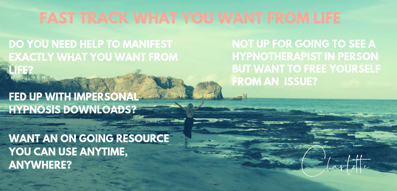 manifest what you want from life.png