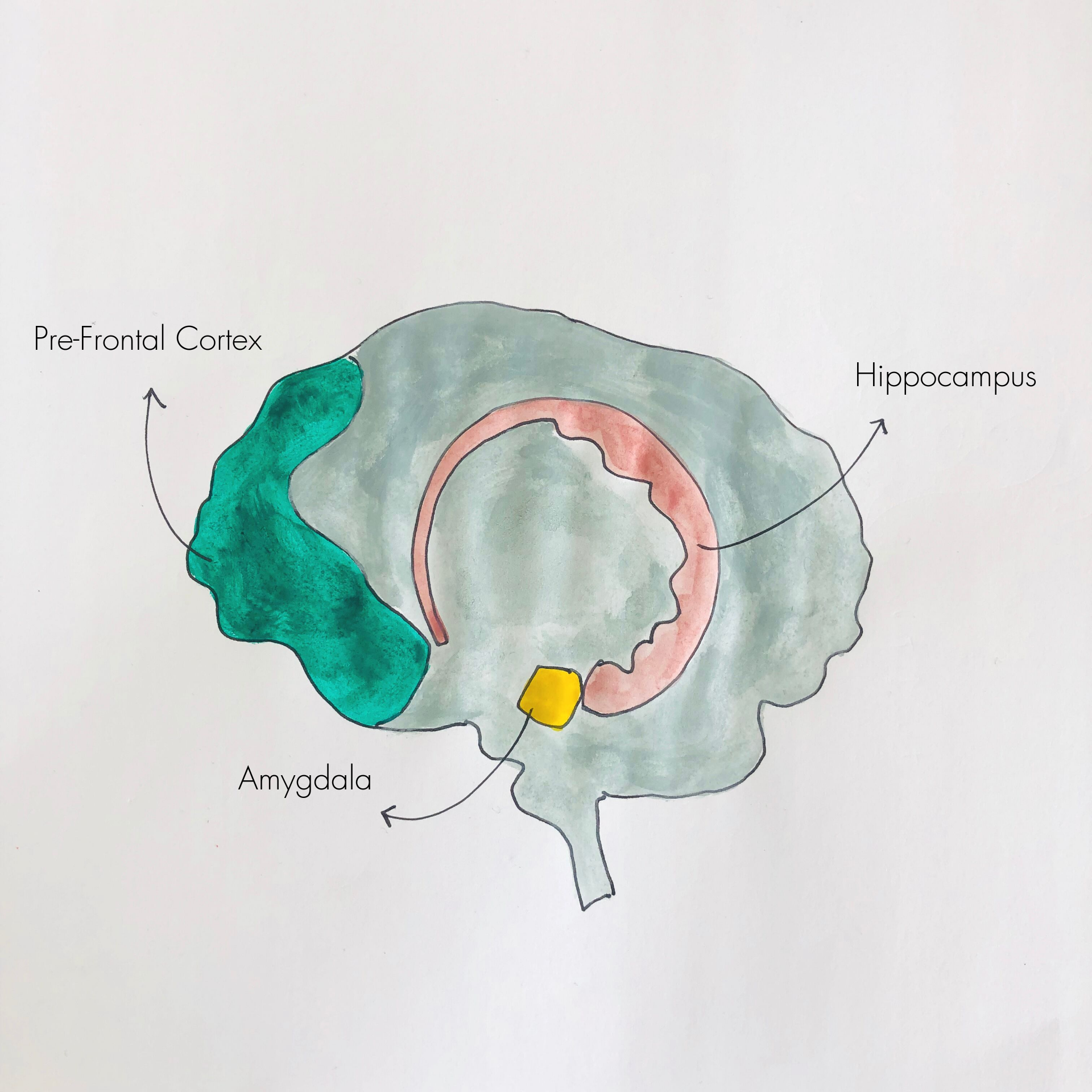 changesinbrainactivityfromRTT.png