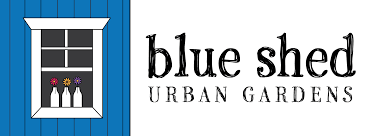 blue shed.png