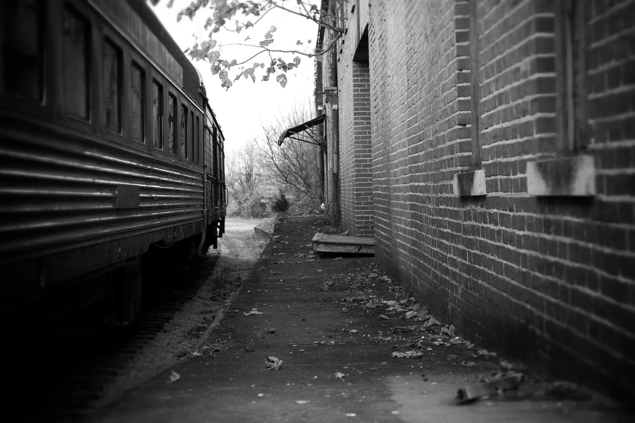 North Alabama Railroad Museum, November 2015