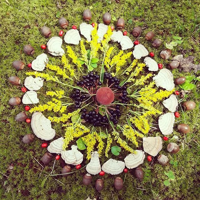 Above gallery: Soliciting input for a community folk art project: Responding to place , draw a pattern that occurs in nature using only point, line and arc. Directly above: A walking mindfulness meditation: collect seeds, leaves and berries from around your neighborhood and arrange them into a seasonal botanical mandala.