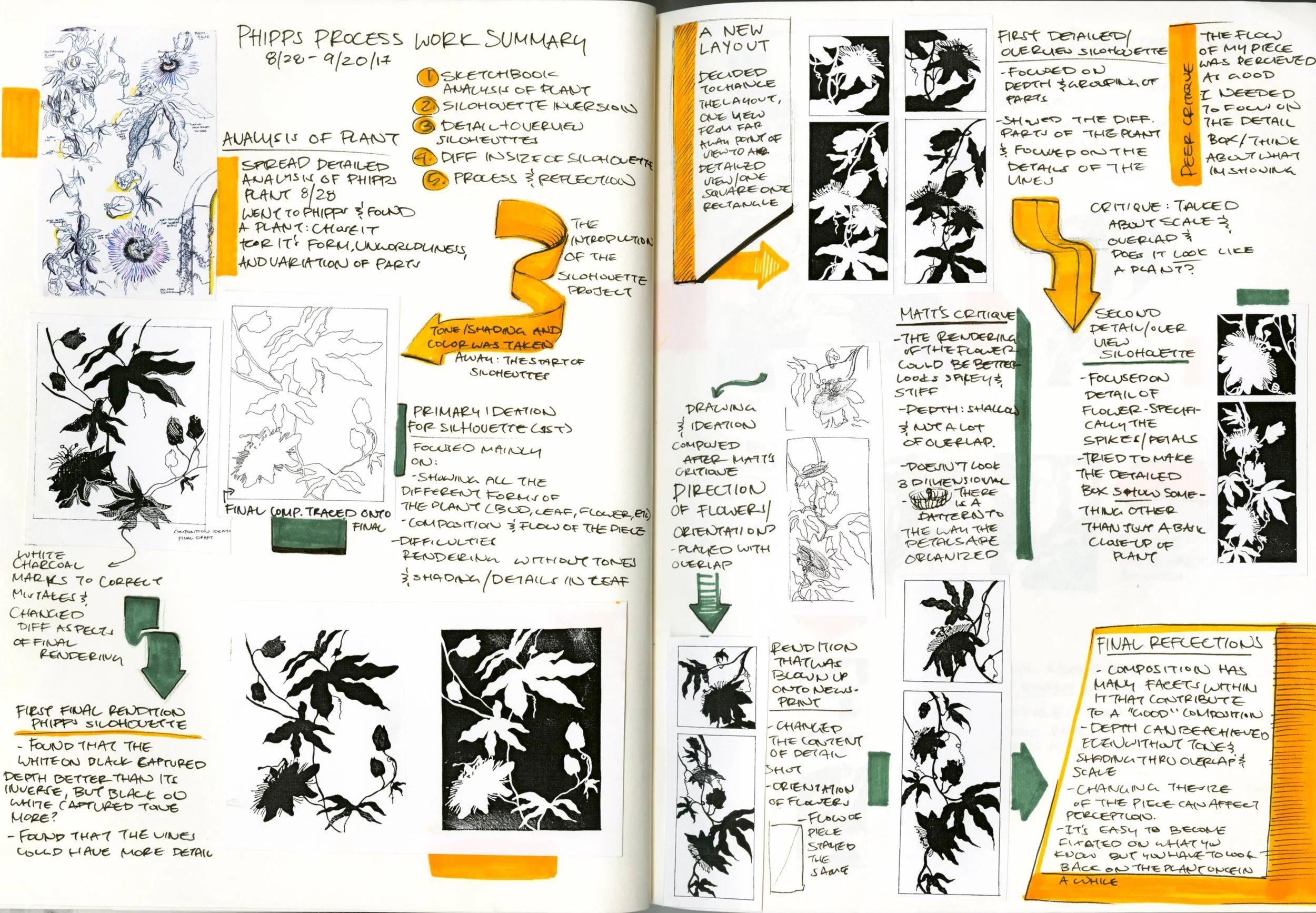 plant process1.jpg