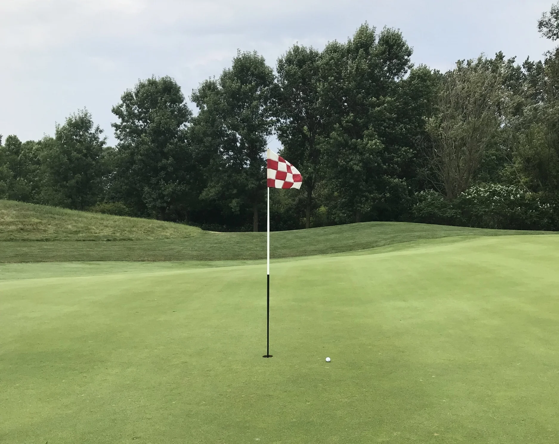 Phil Maguire's Birdie on Hole # 3