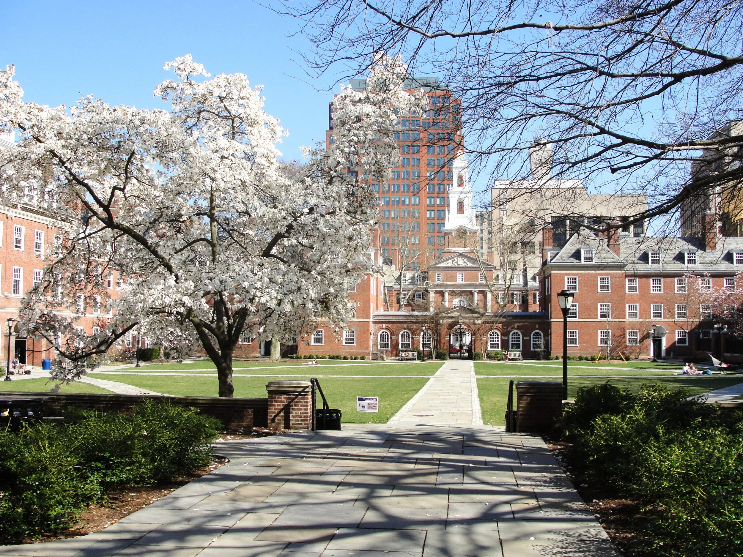 View of a city park with a lawn, trees, benches, and paved walkways, with a red brick multi-story building and a white church with a steeple in the background under a clear blue sky.