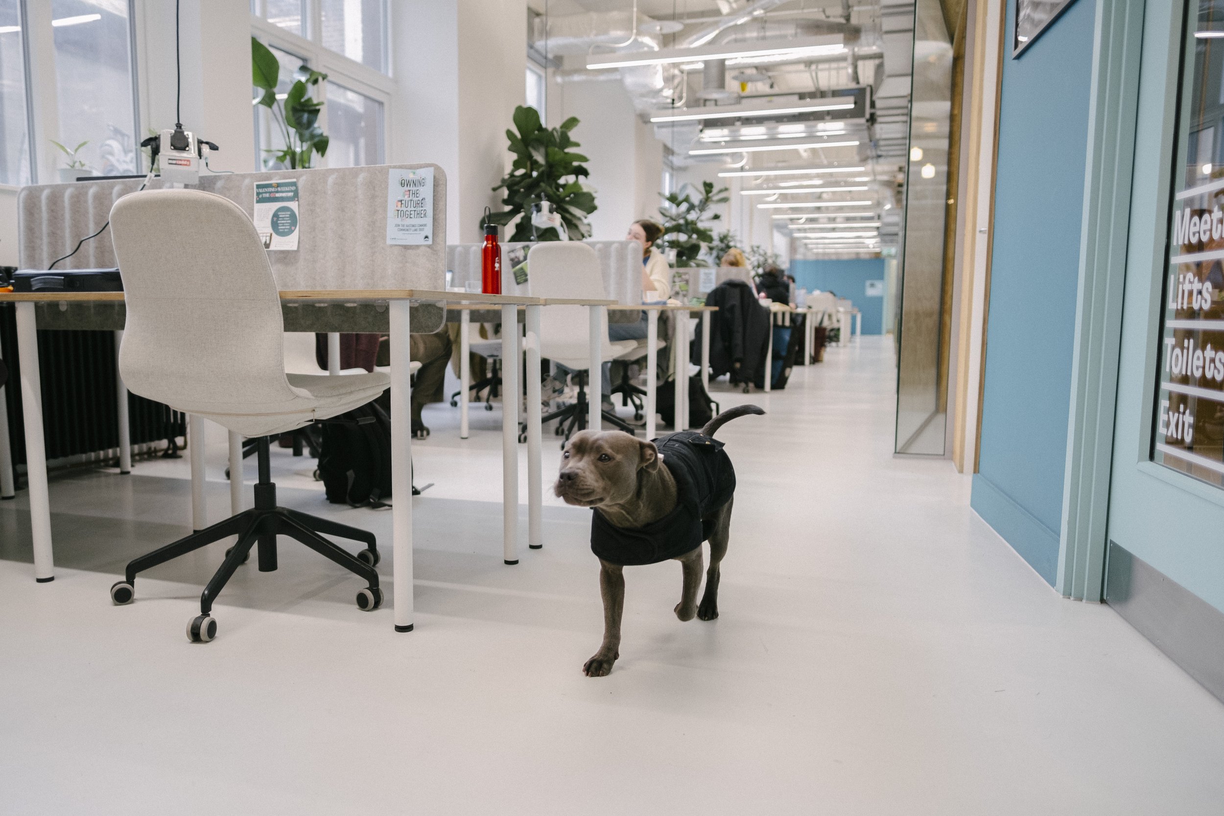 26.01.19_OB HOT DESKING_ALICE DENNY_020.jpg