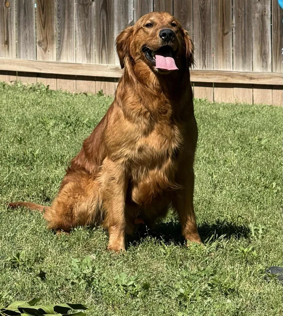 Clifford