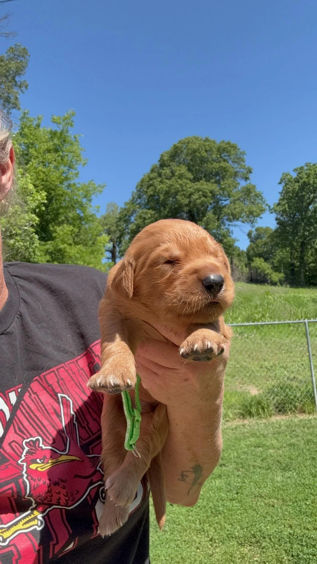 green sawyer 2 weeks.jpg