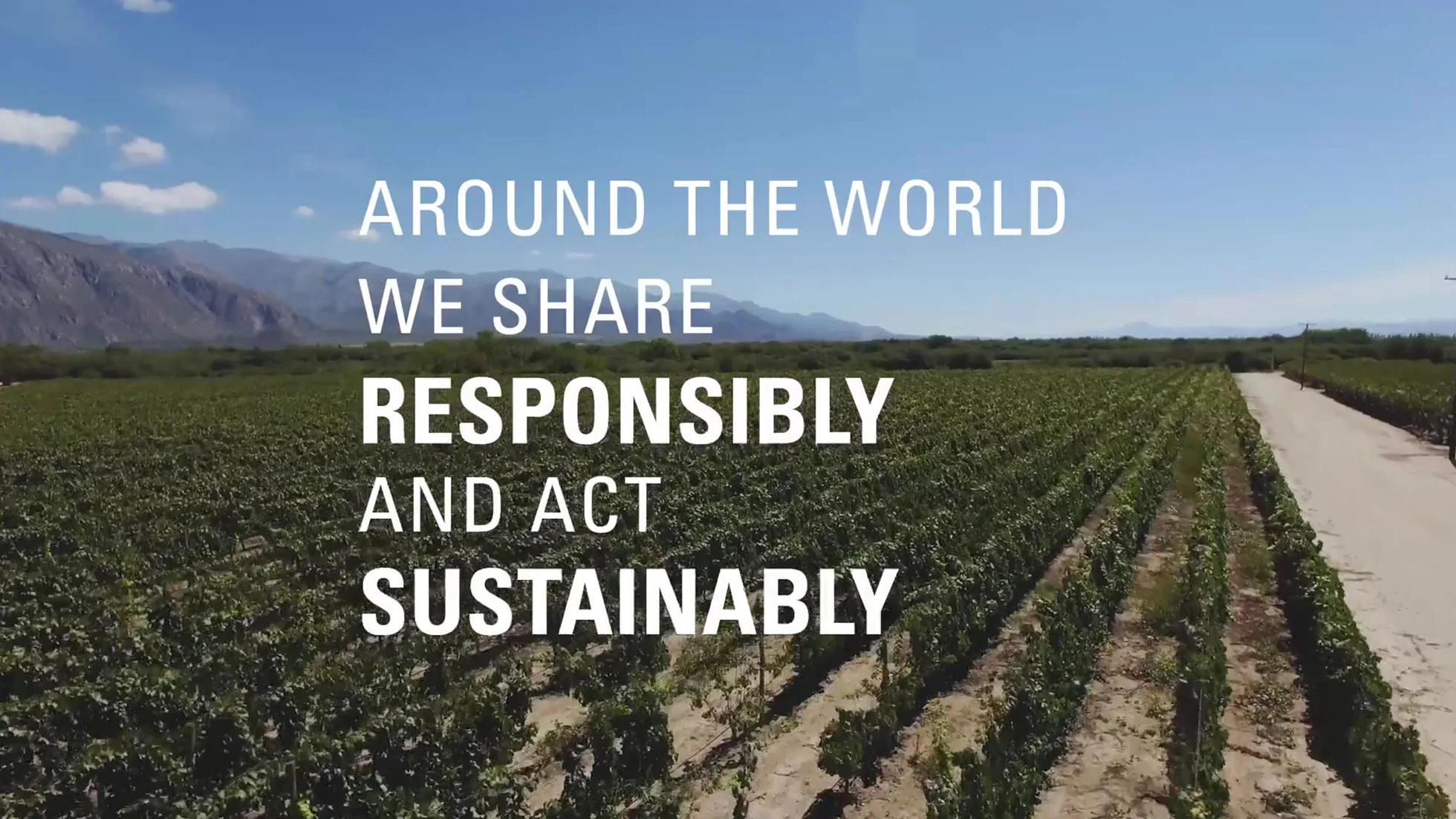 2018-06-22-11_39_36-PERNOD-RICARD---Video-explicativo-de-proceso-productivo-on-Vimeo.jpg