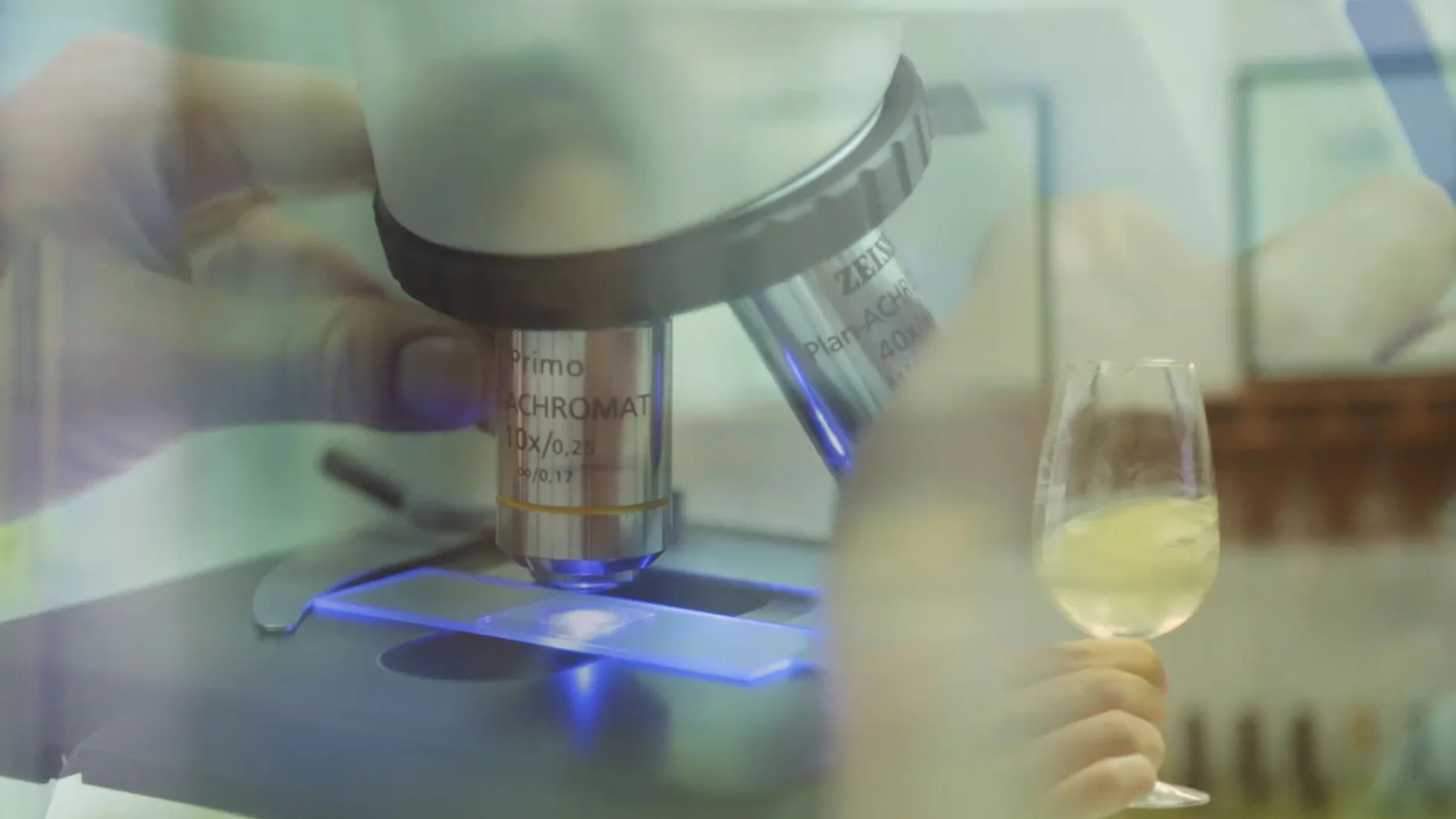 2018-06-22-11_45_03-PERNOD-RICARD---Video-explicativo-de-proceso-productivo-on-Vimeo.jpg