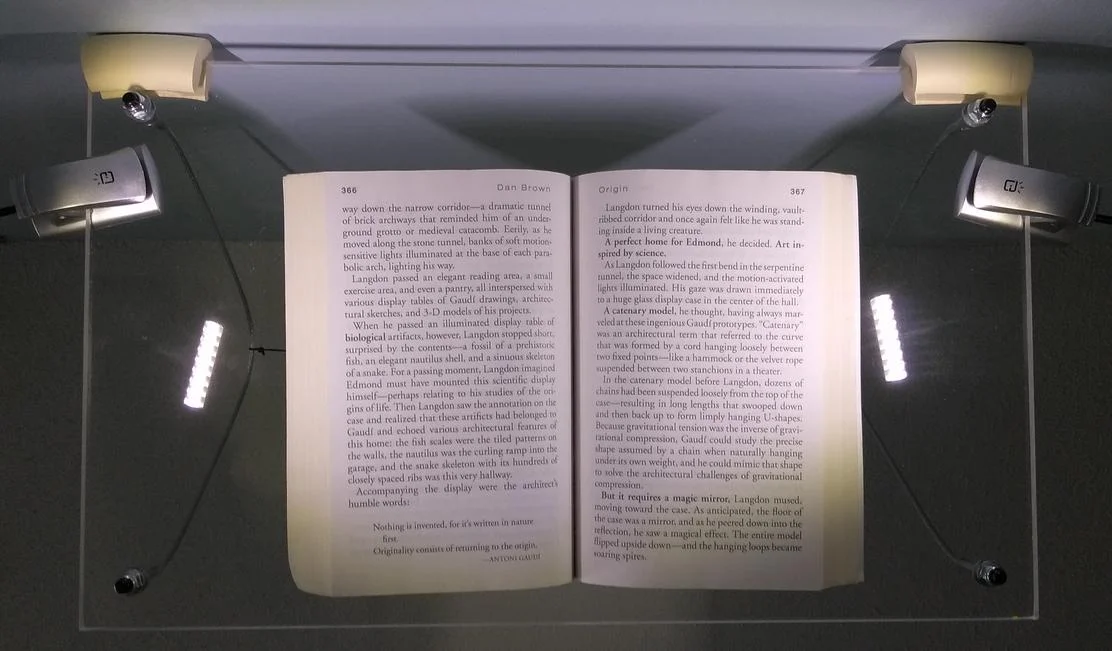 View from Beneath.JPG