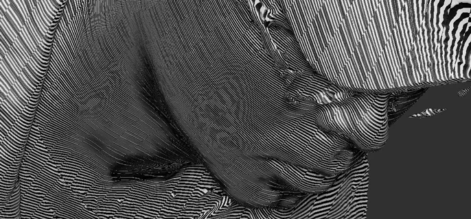 Moire-Photo_1_686.jpg