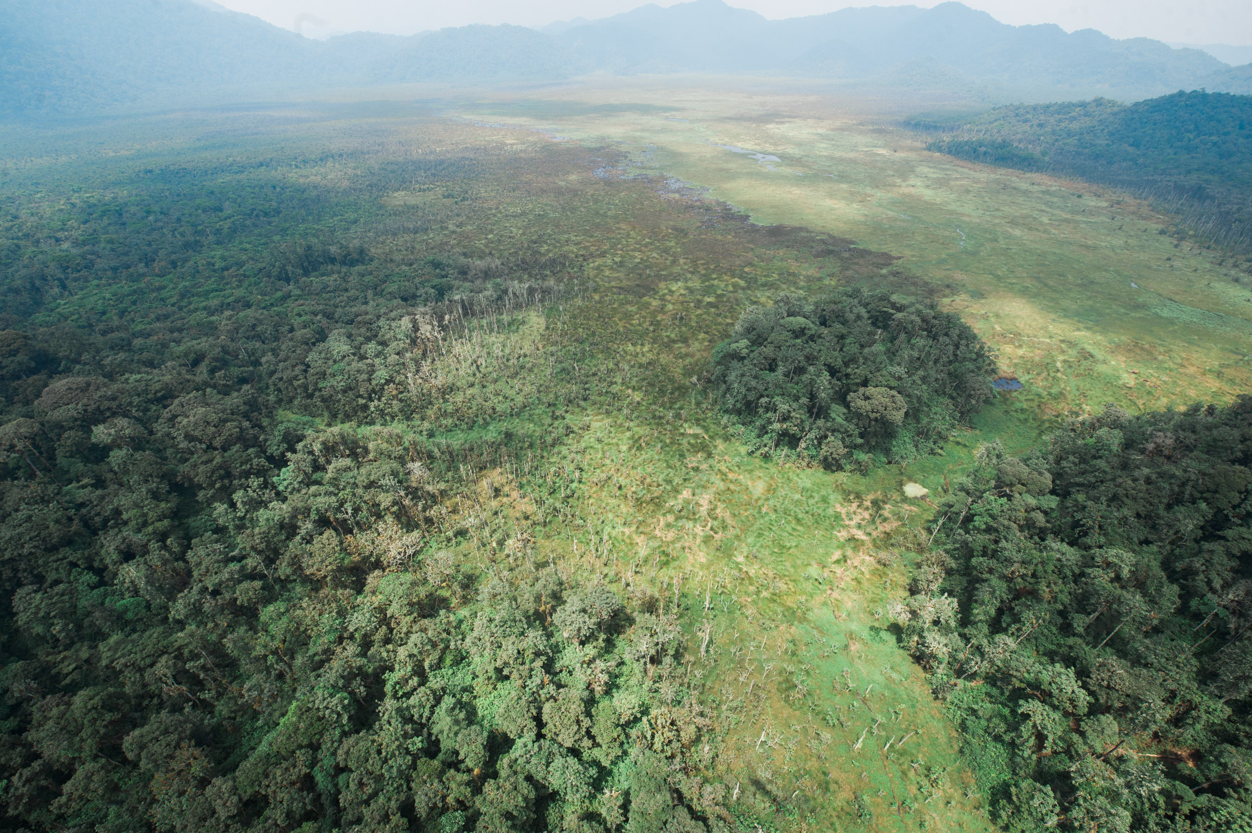  A wetland in the middle of the Nyungwe Rainforest. 