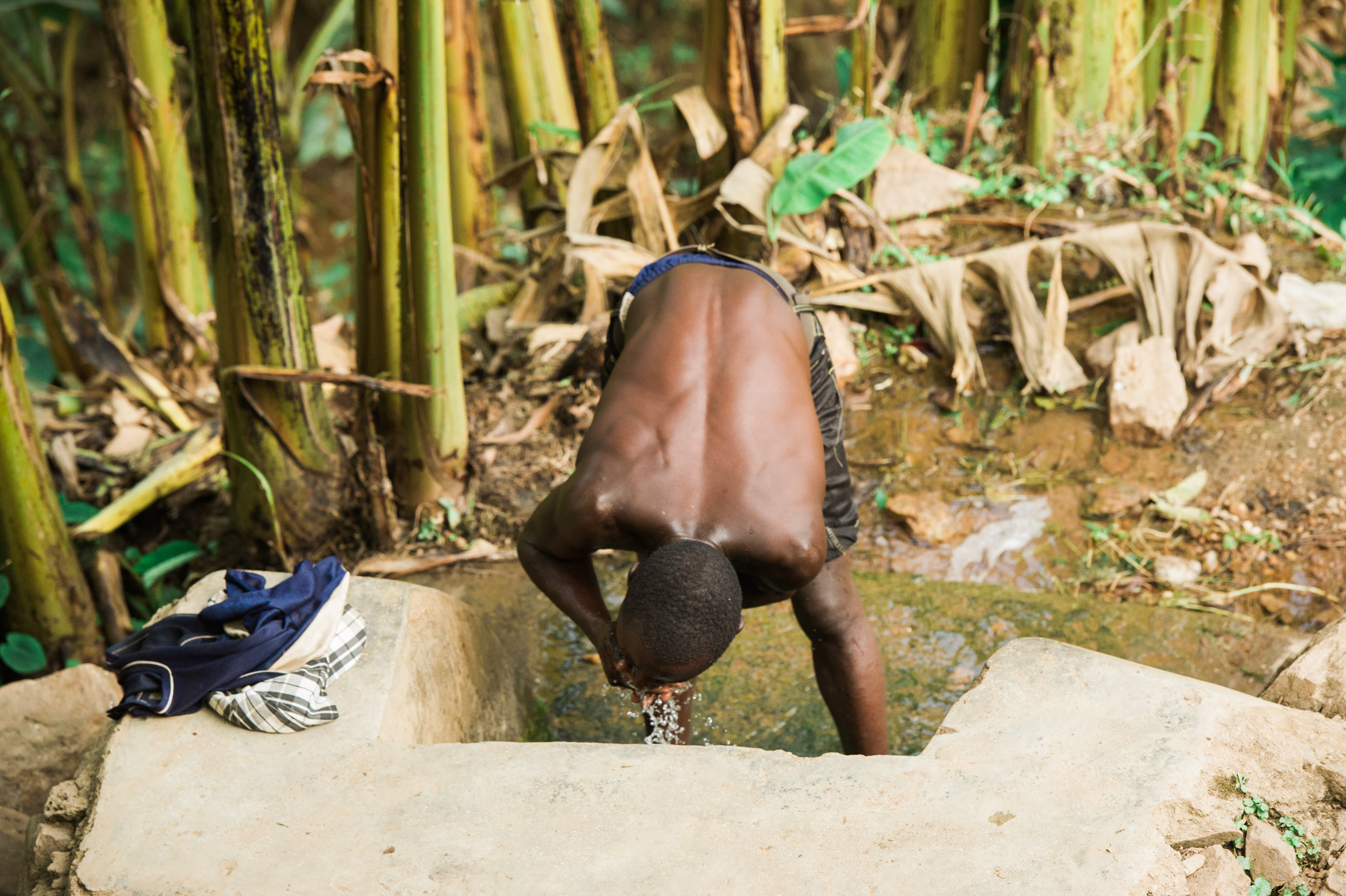  A man drinks from a well near the banks of Nyabarongo River, among a grove of banana trees. 