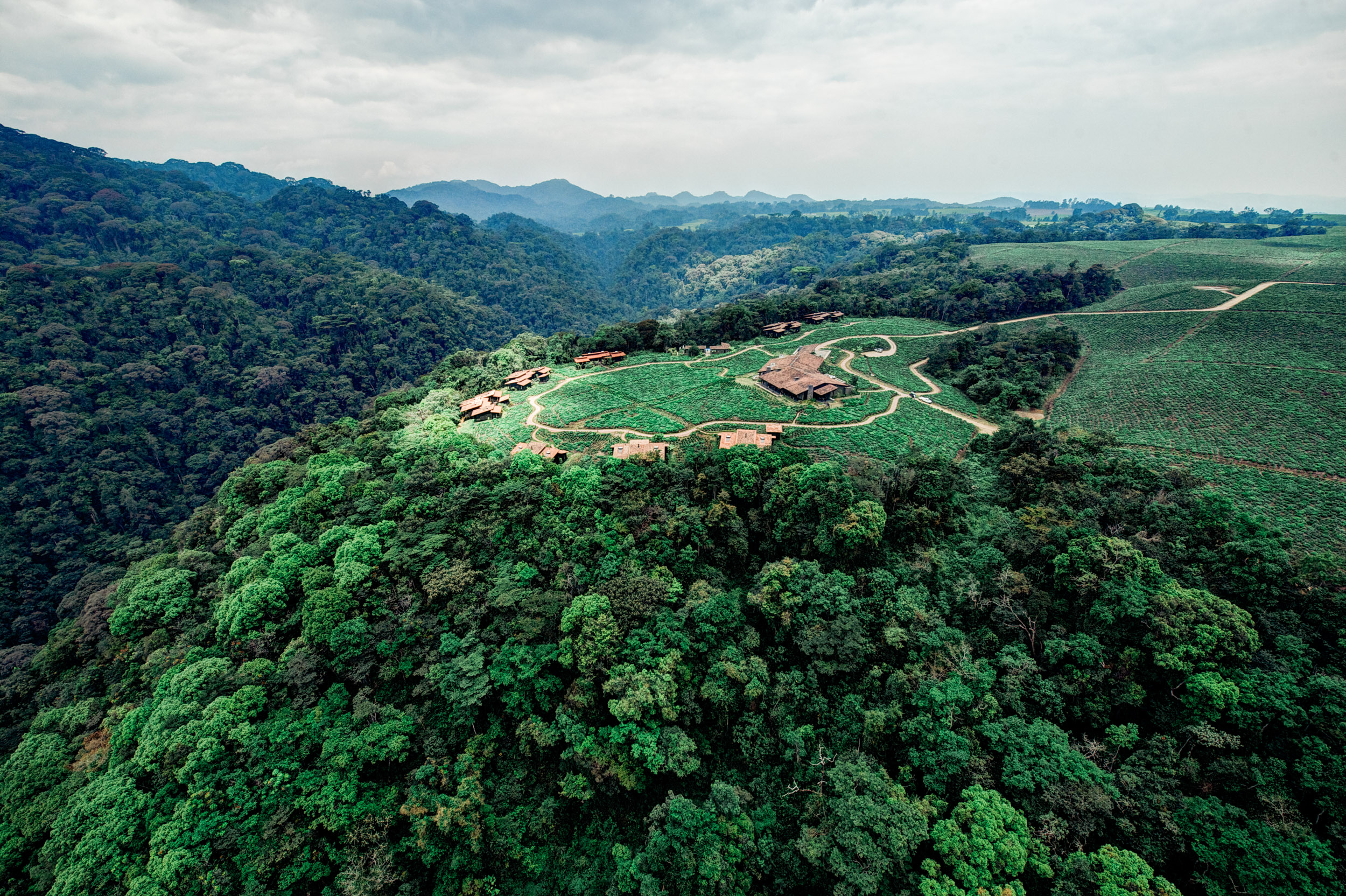  Nyungwe Forest Lodge rests on the edge of one of the country's largest tea plantations, overlooking the Nyungwe Rainforest. 