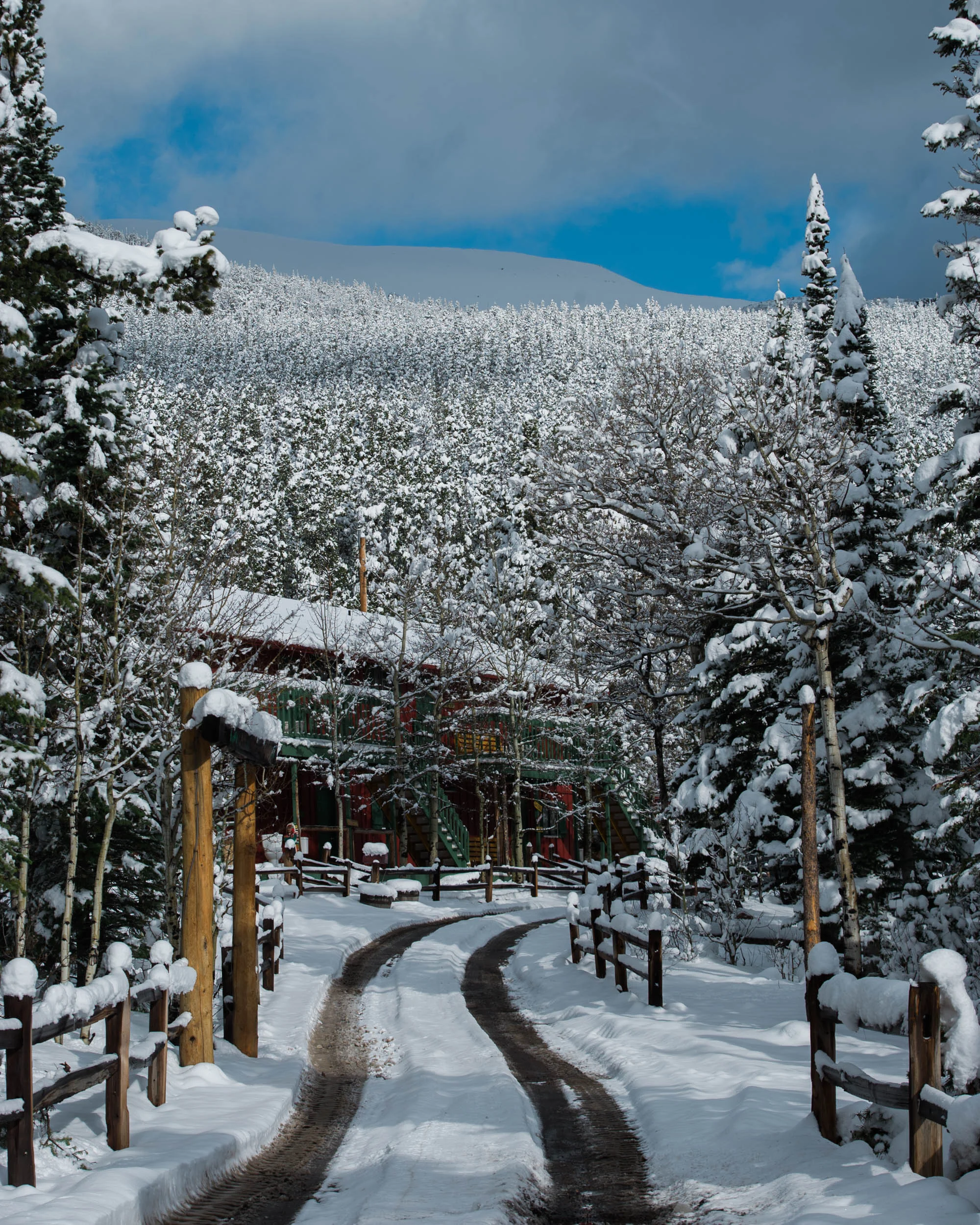 Camp Timberline-1.jpg