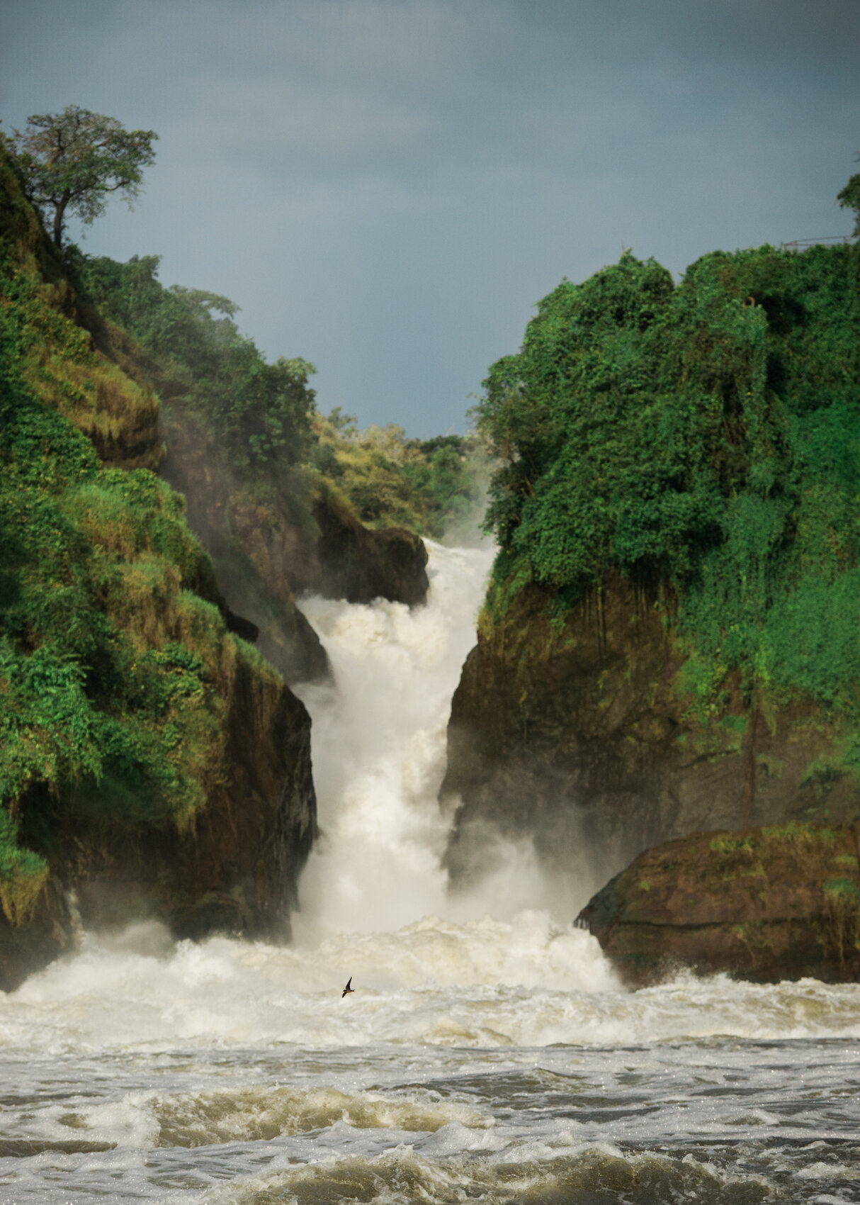  Murchison Falls 