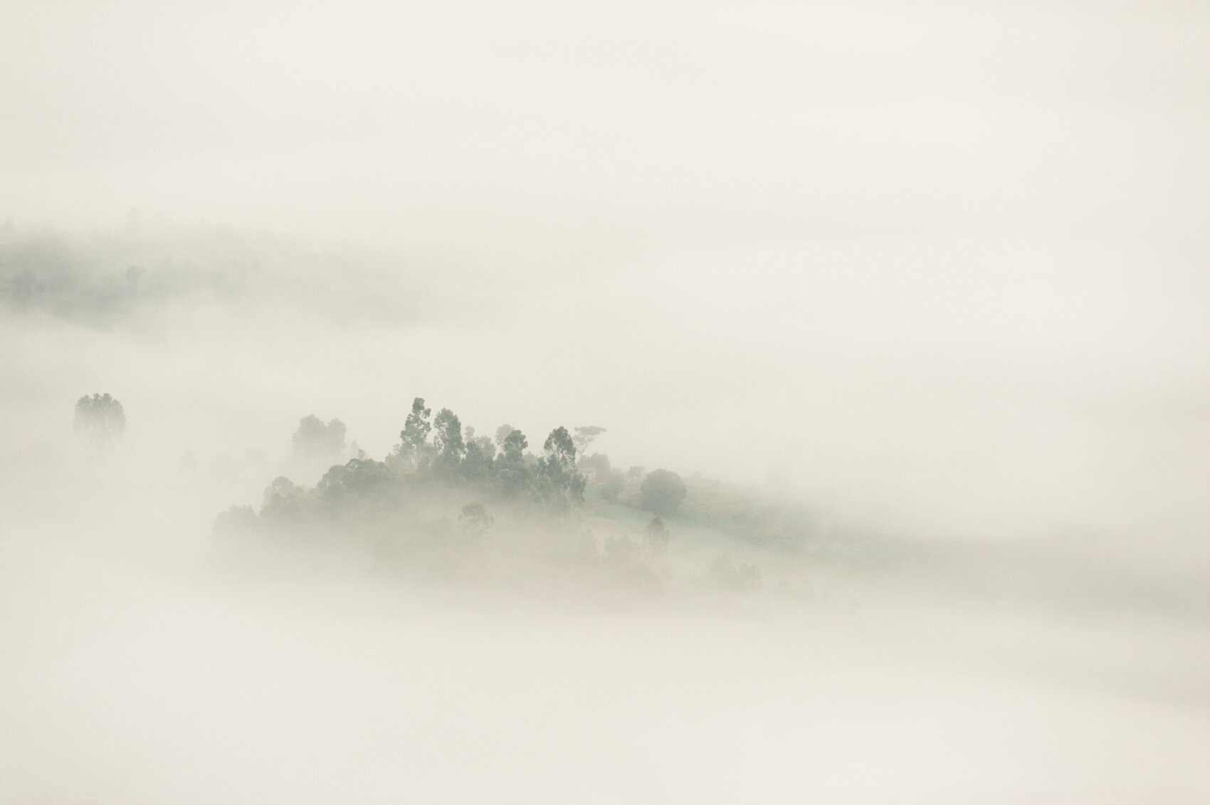  Hill in Fog, Central Rwanda 