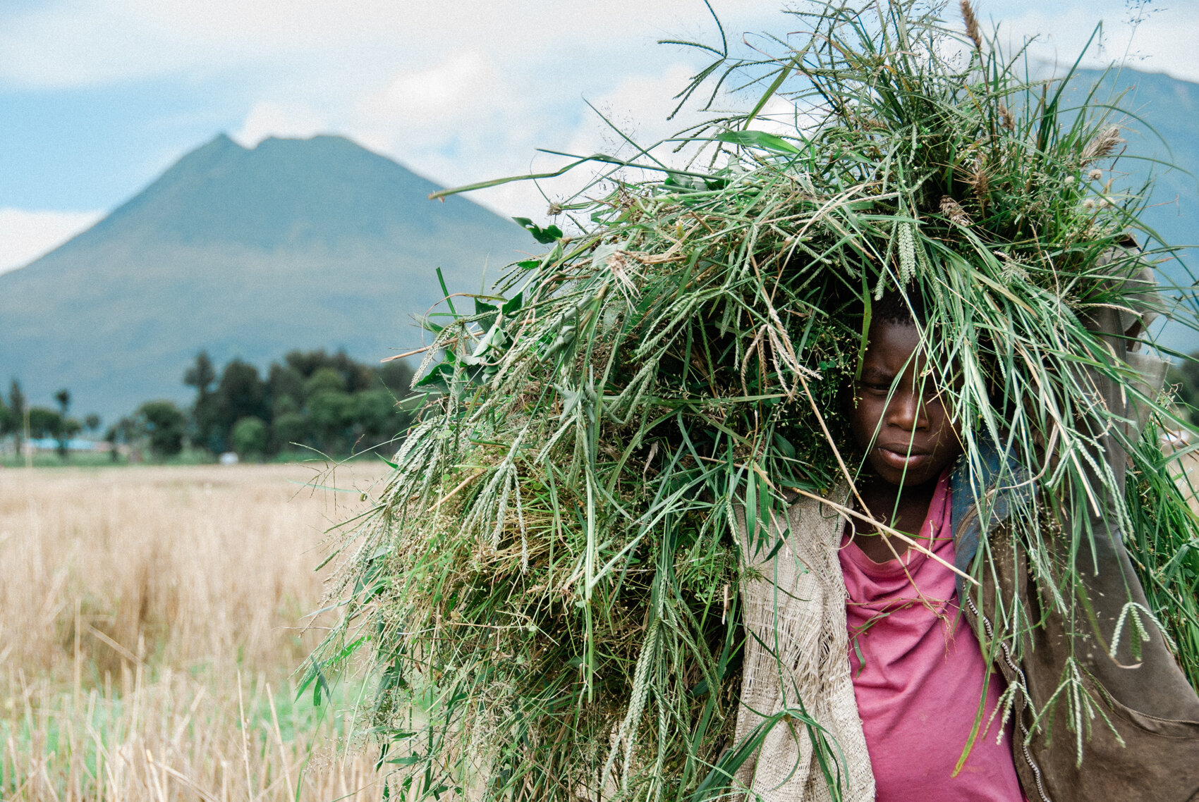 Boy Carrying Grass