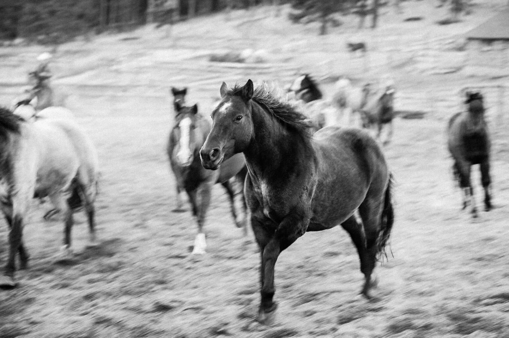  Wind River Ranch, near RMNP, Colorado 