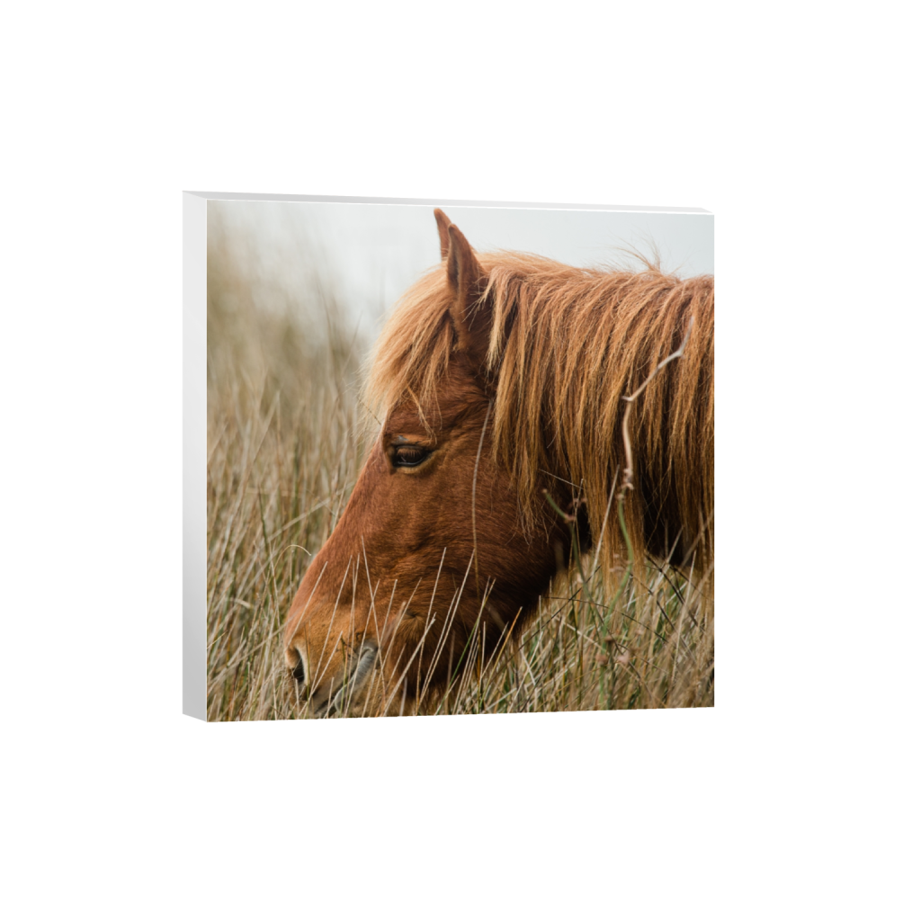 canvas_square_1426_0_3280_3280_0_false_ffffff_0_0.png