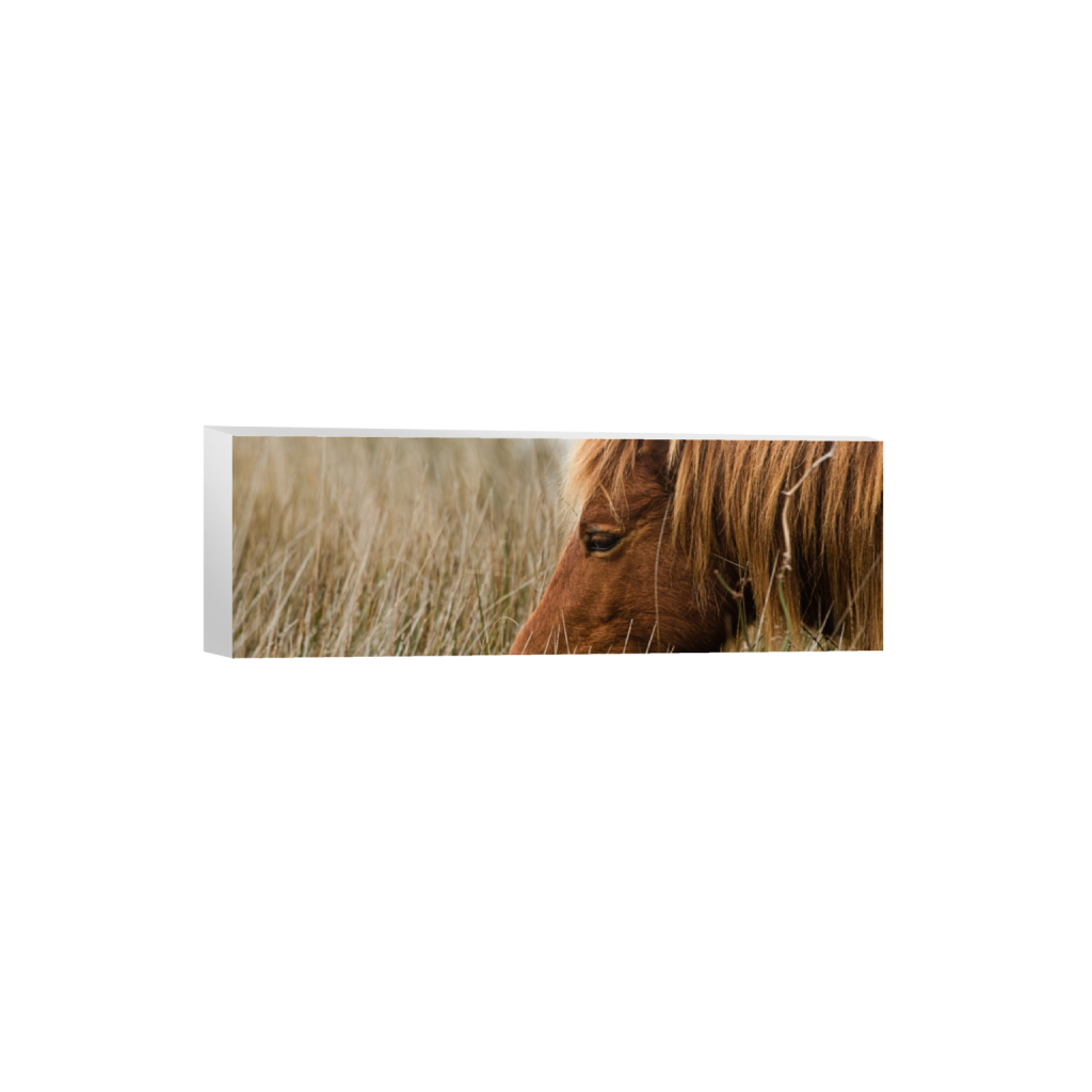 canvas_rectangle1_3_0_818_4928_1642_0_false_ffffff_0_0.png