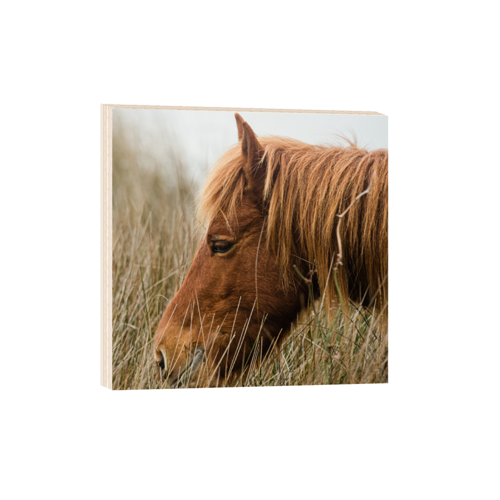 woodprint_square_1426_0_3280_3280_0_false_ffffff_0_0.png