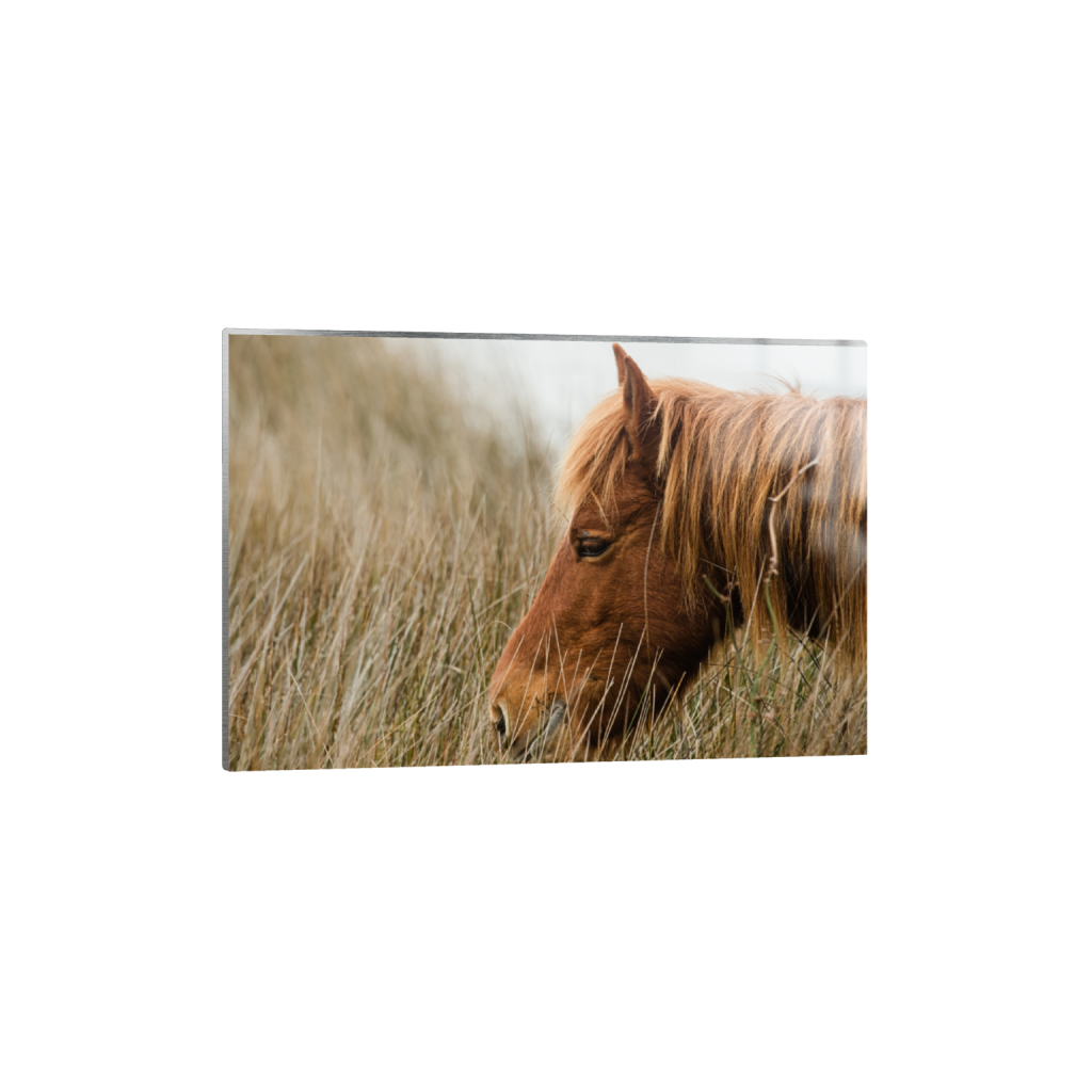 metalprint_rectangle2_3_0_0_4920_3280_0_false_ffffff_0_0.png