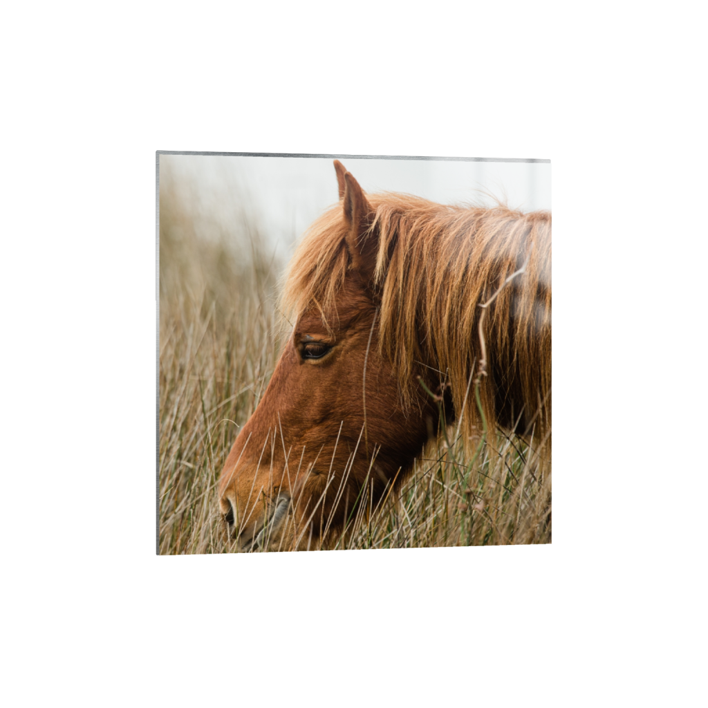 metalprint_square_1426_0_3280_3280_0_false_ffffff_0_0.png