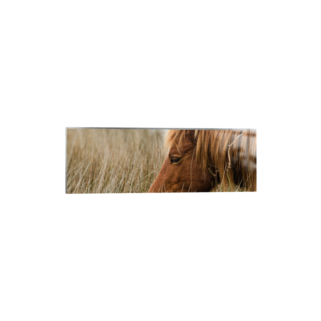 metalprint_rectangle1_3_0_818_4928_1642_0_false_ffffff_0_0.png