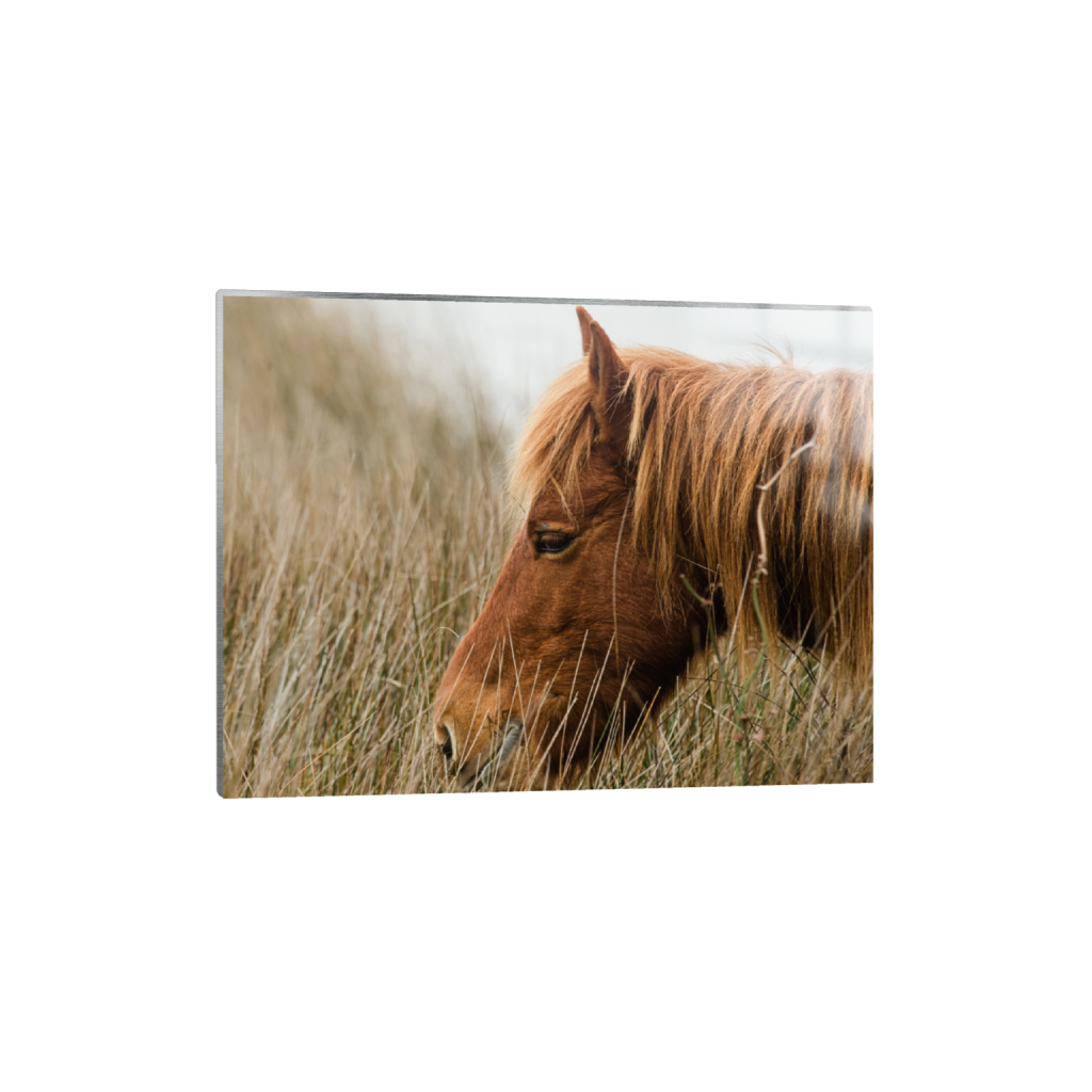 metalprint_rectangle3_4_565_0_4373_3280_0_false_ffffff_0_0.png