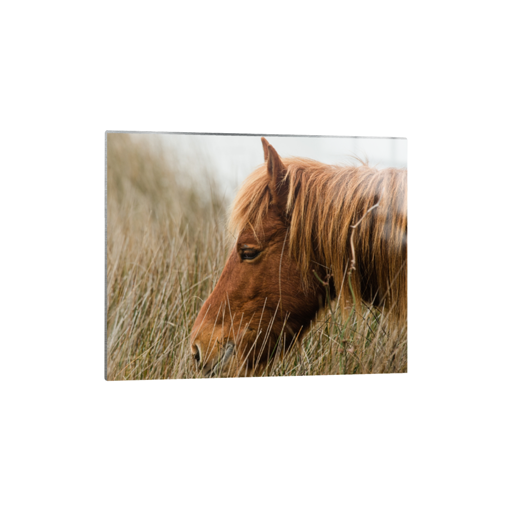 metalprint_rectangle4_5_828_0_4100_3280_0_false_ffffff_0_0.png