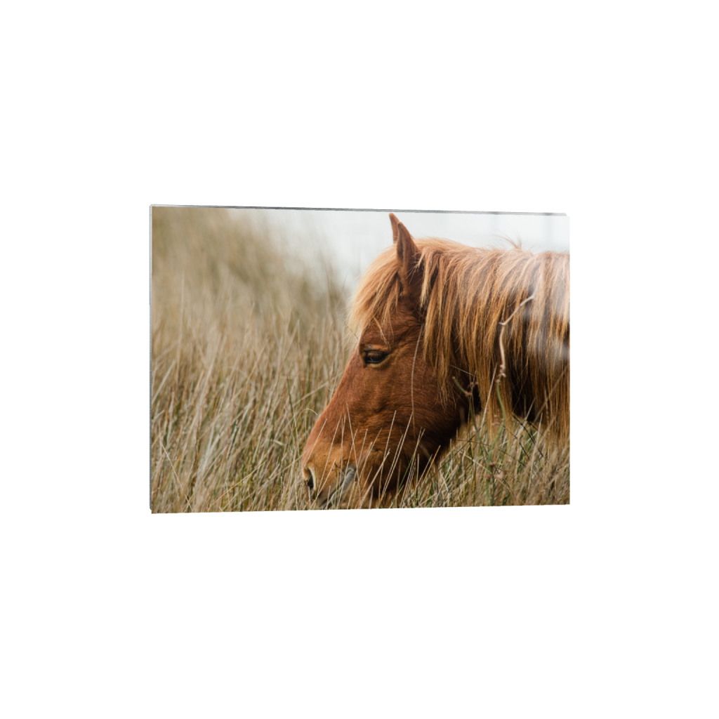 metalprint_rectangle5_7_336_0_4592_3280_0_false_ffffff_0_0.png