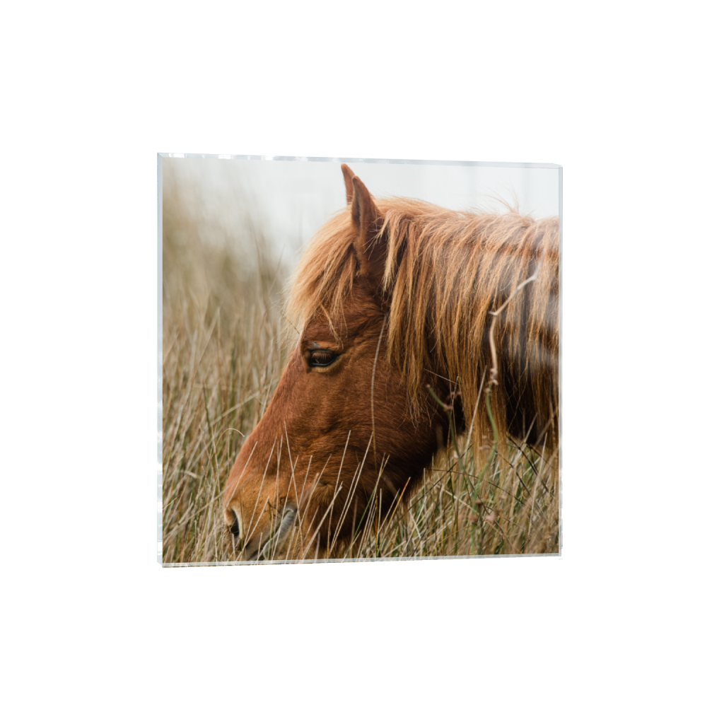 acrylicprint_square_1426_0_3280_3280_0_false_ffffff_0_0.png
