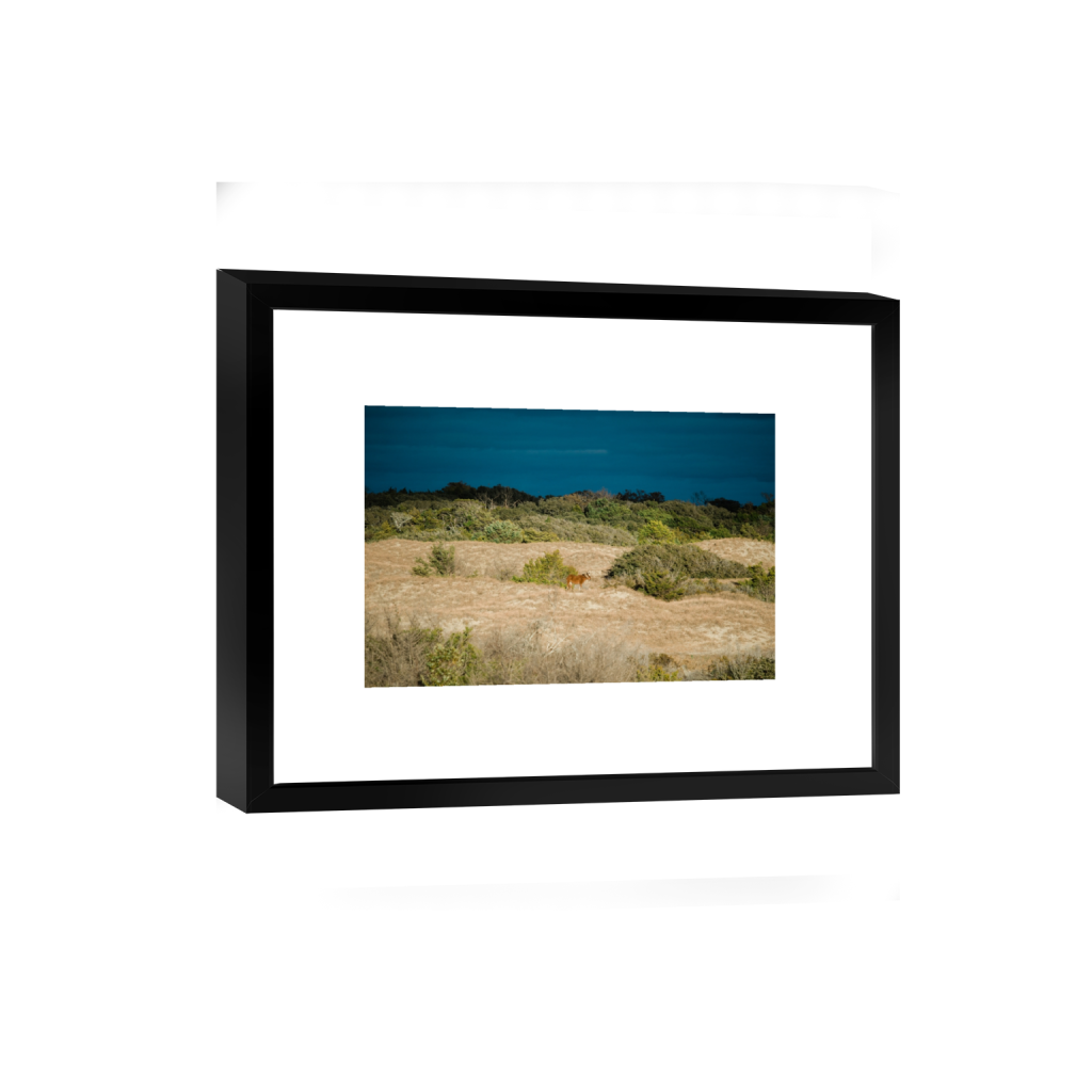 smartframe_rectangle2_3_0_0_4920_3280_0_false_ffffff_0_0.png