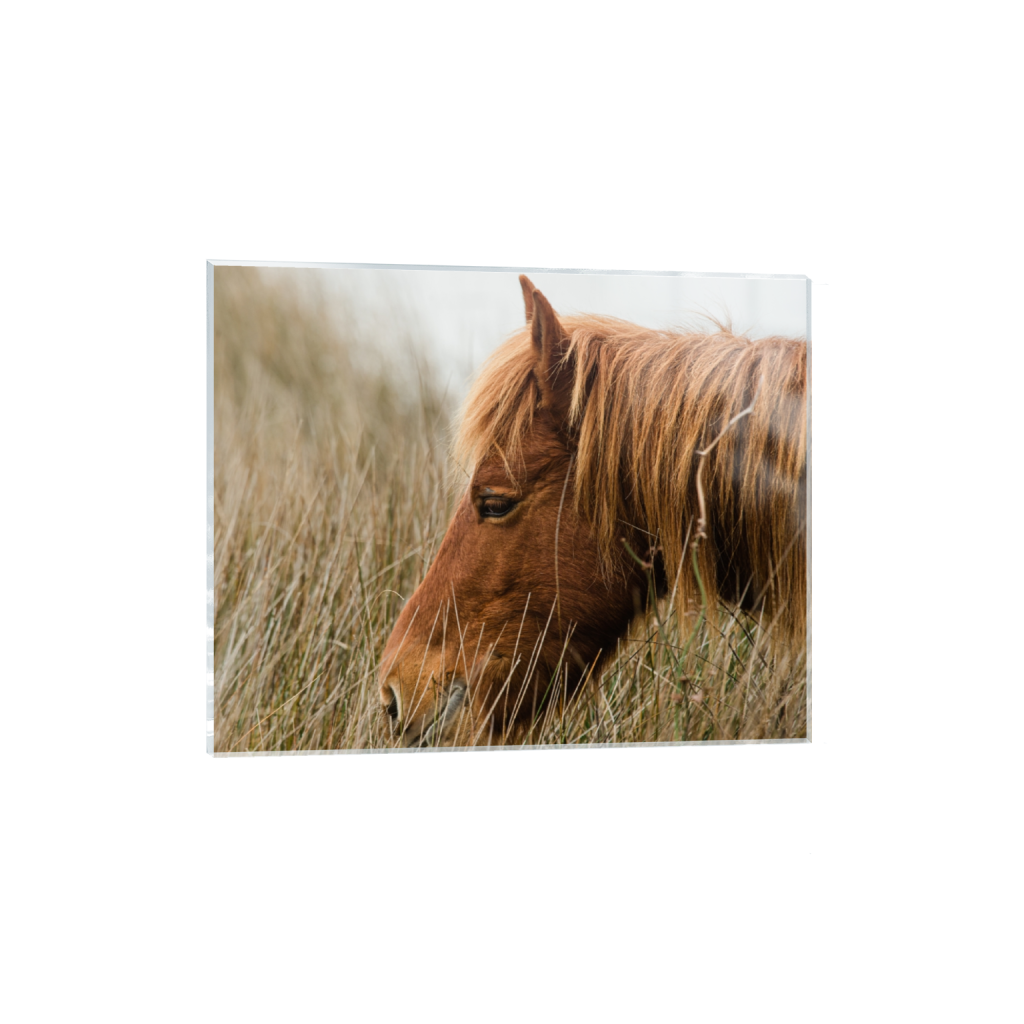 acrylicprint_rectangle4_5_828_0_4100_3280_0_false_ffffff_0_0.png